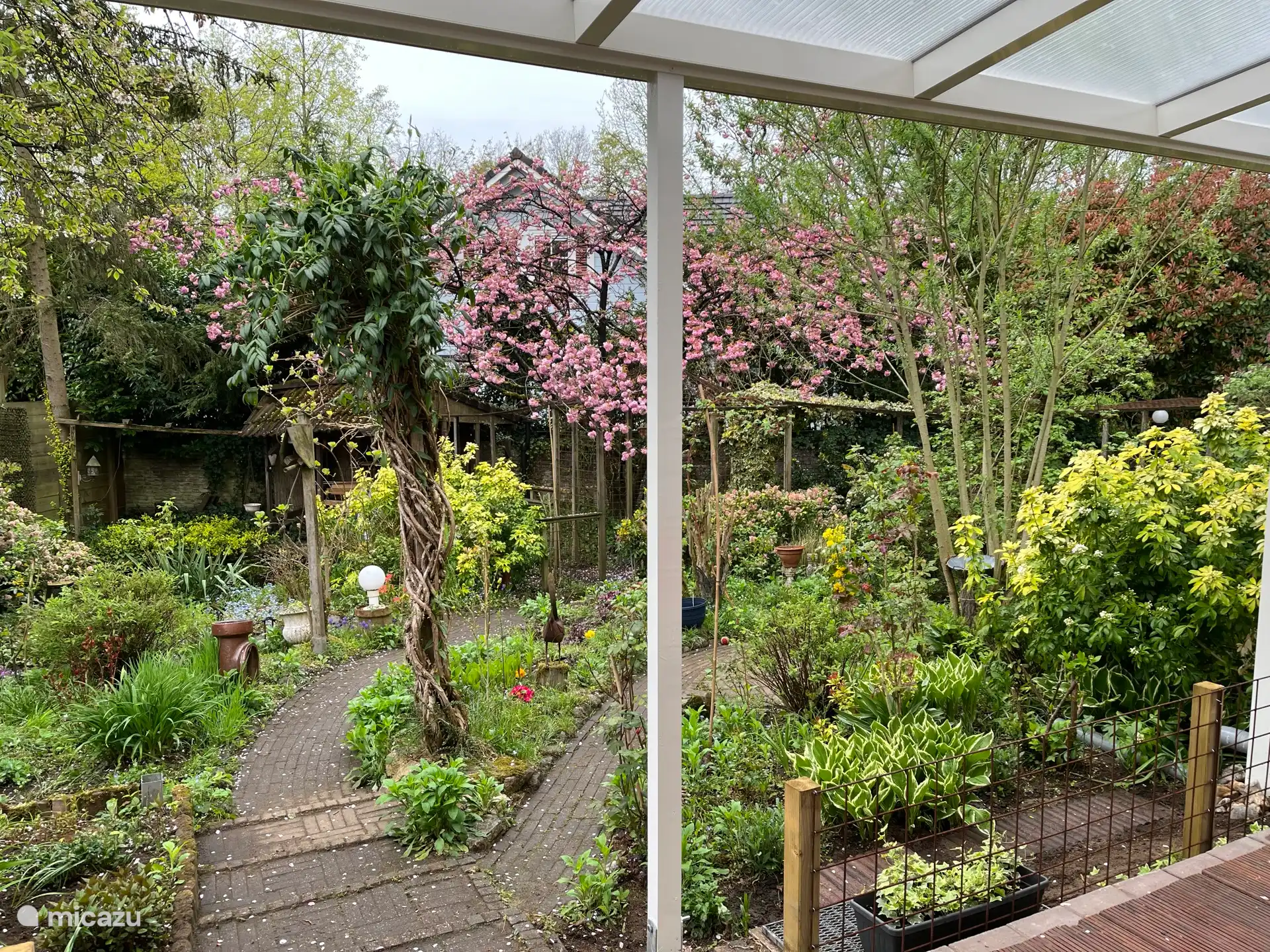 ¡Casa tú mismo el Jardín de Mariposas!