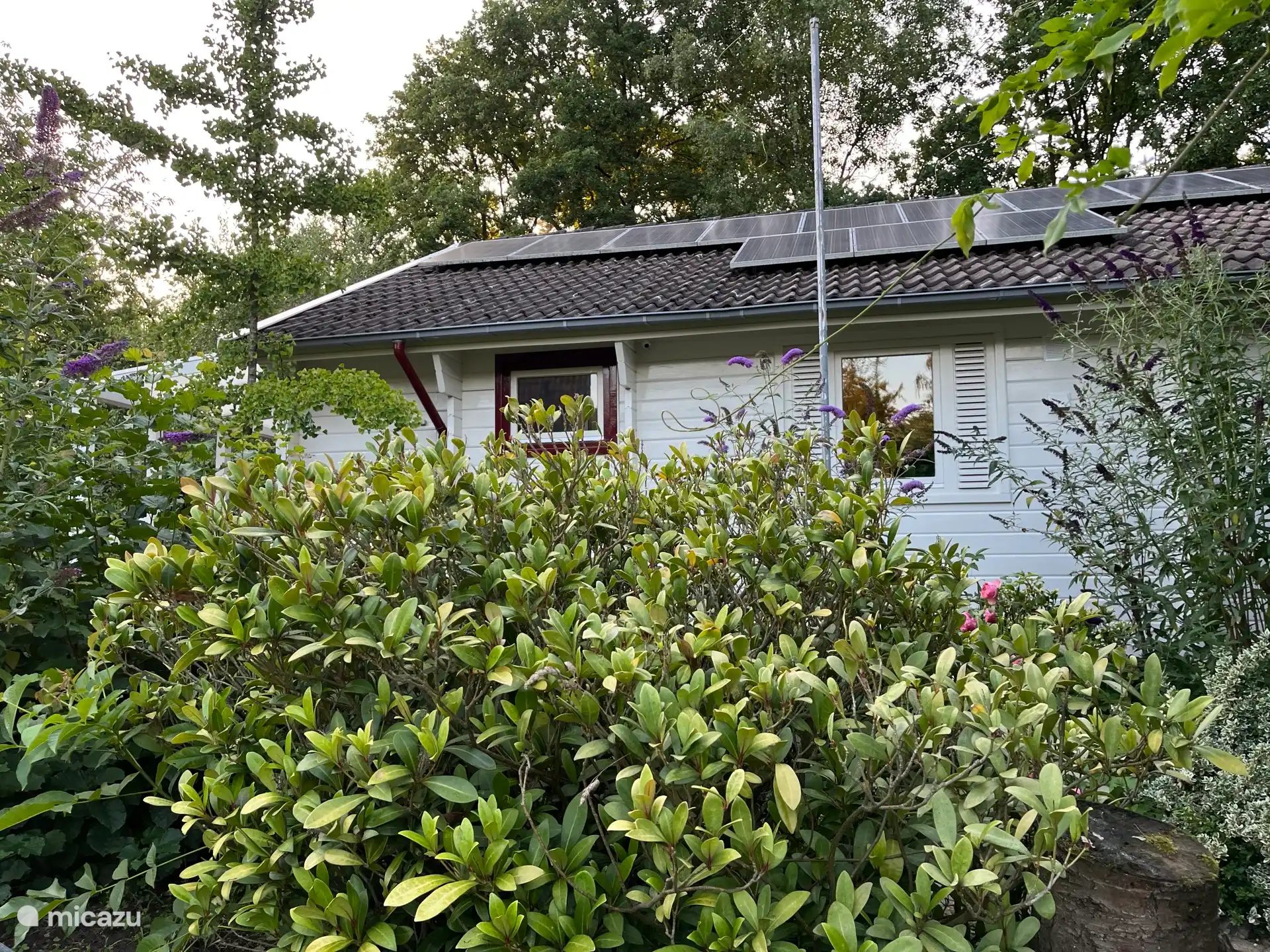 ¡Casa tú mismo el Jardín de Mariposas!