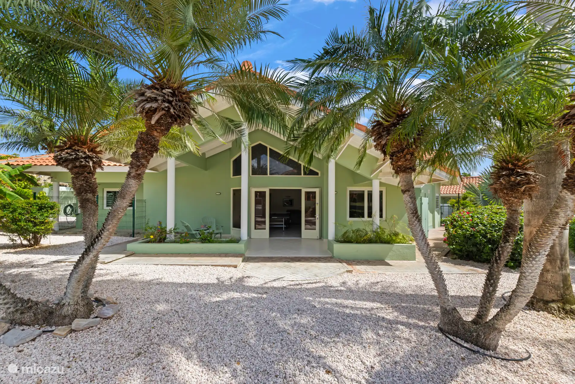 Tuin omlijst door palmen