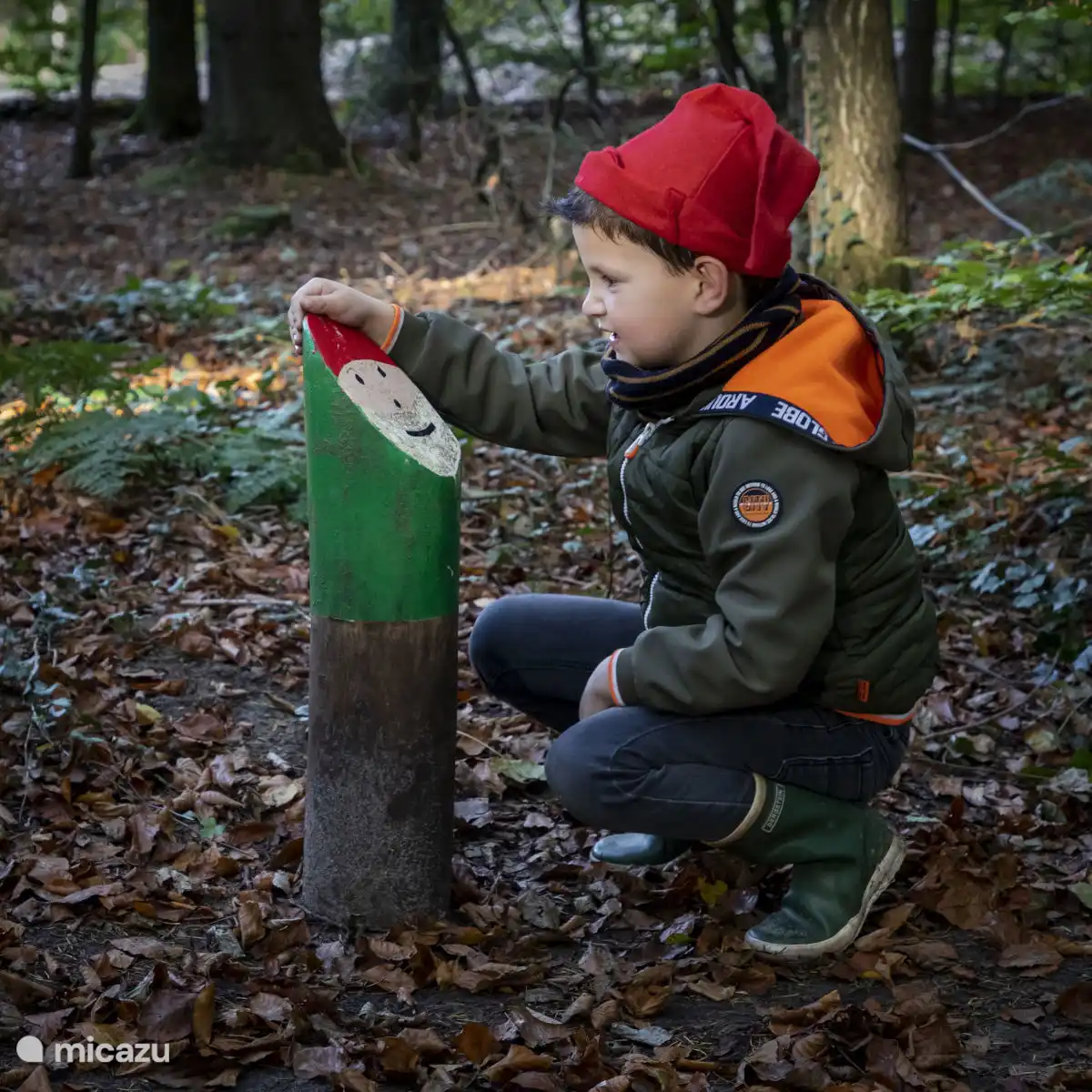 Lekker het bos in wandelen met de kids