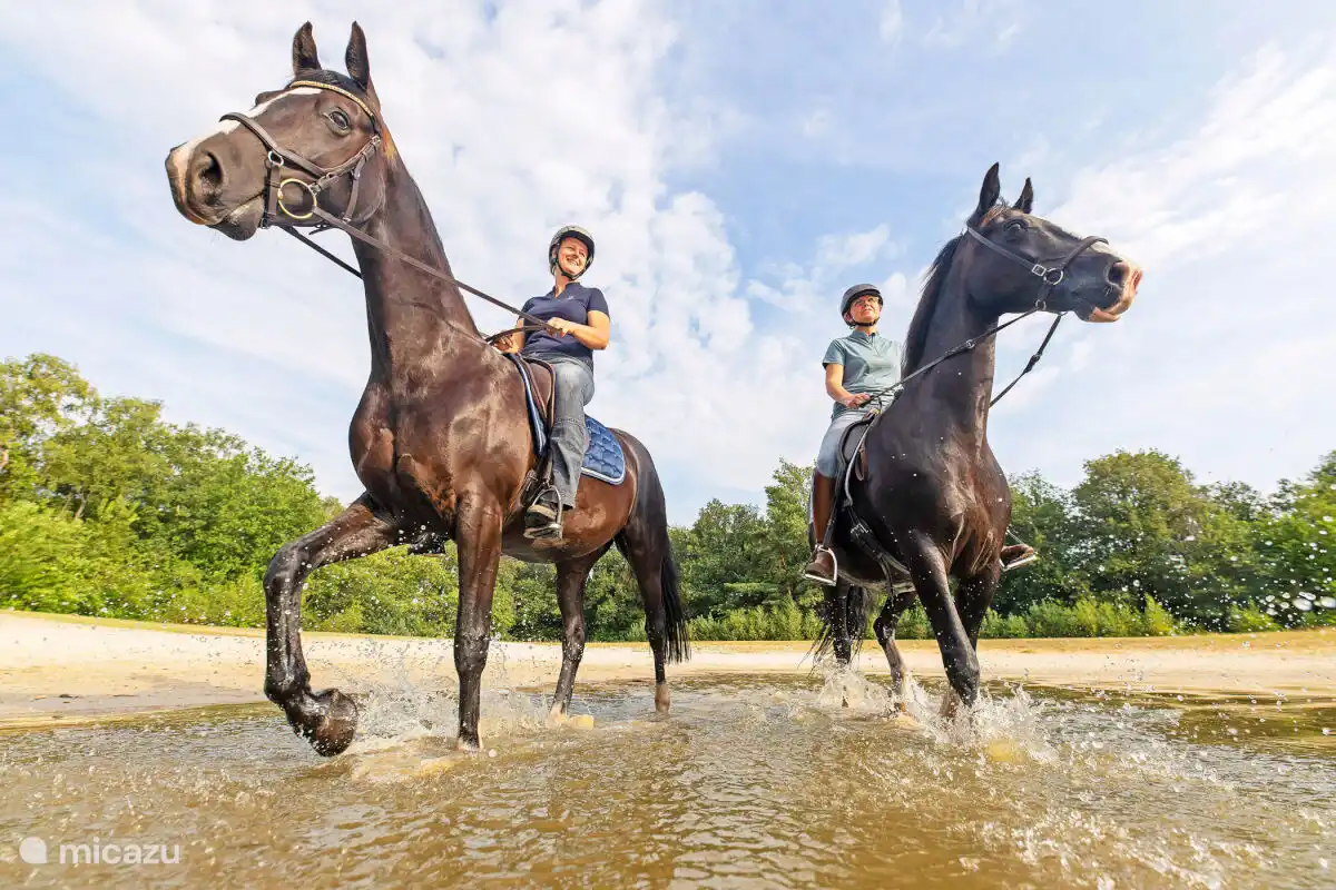 Met paardjes rijden in de omgeving