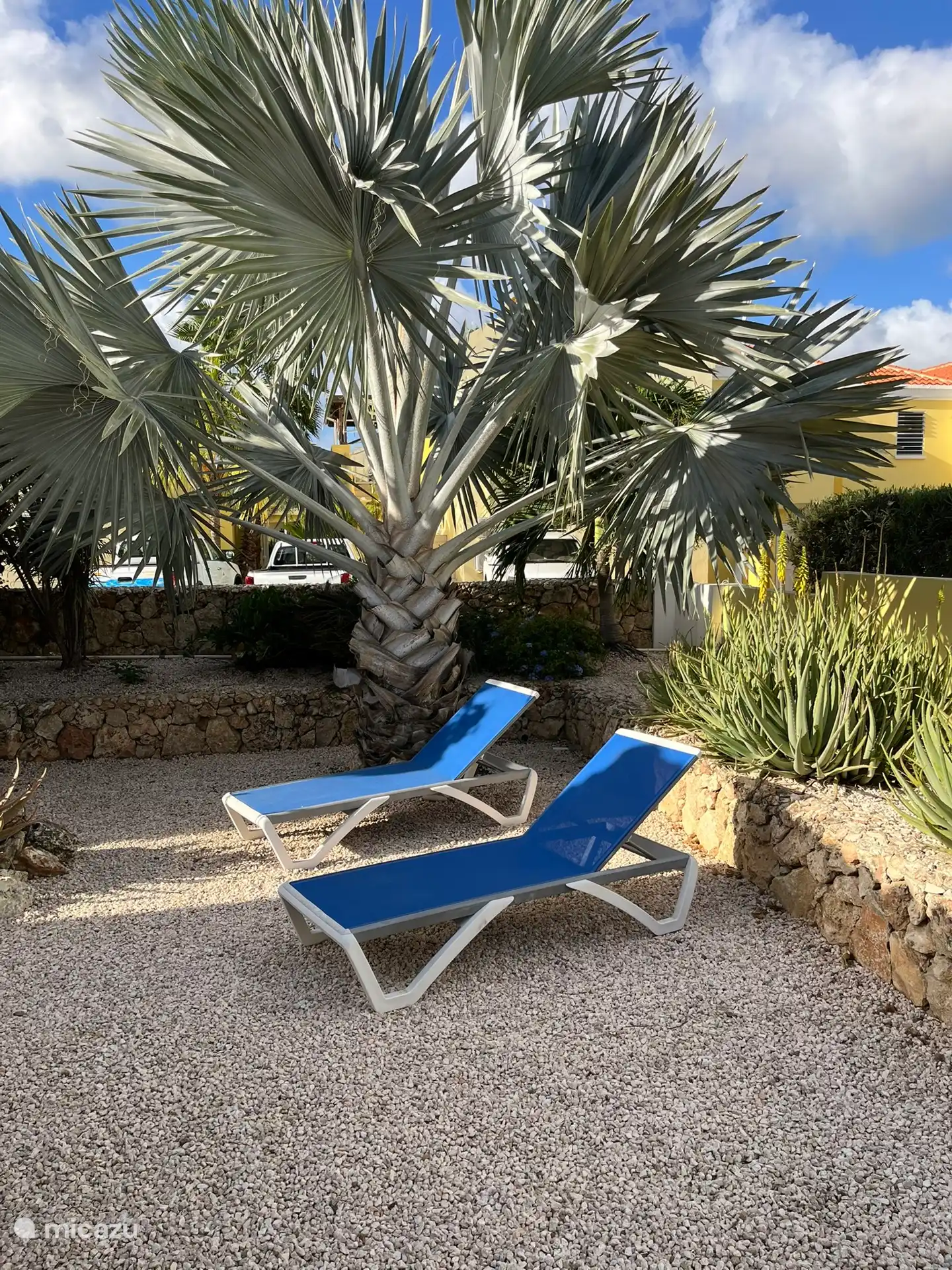 Jardin avec transats