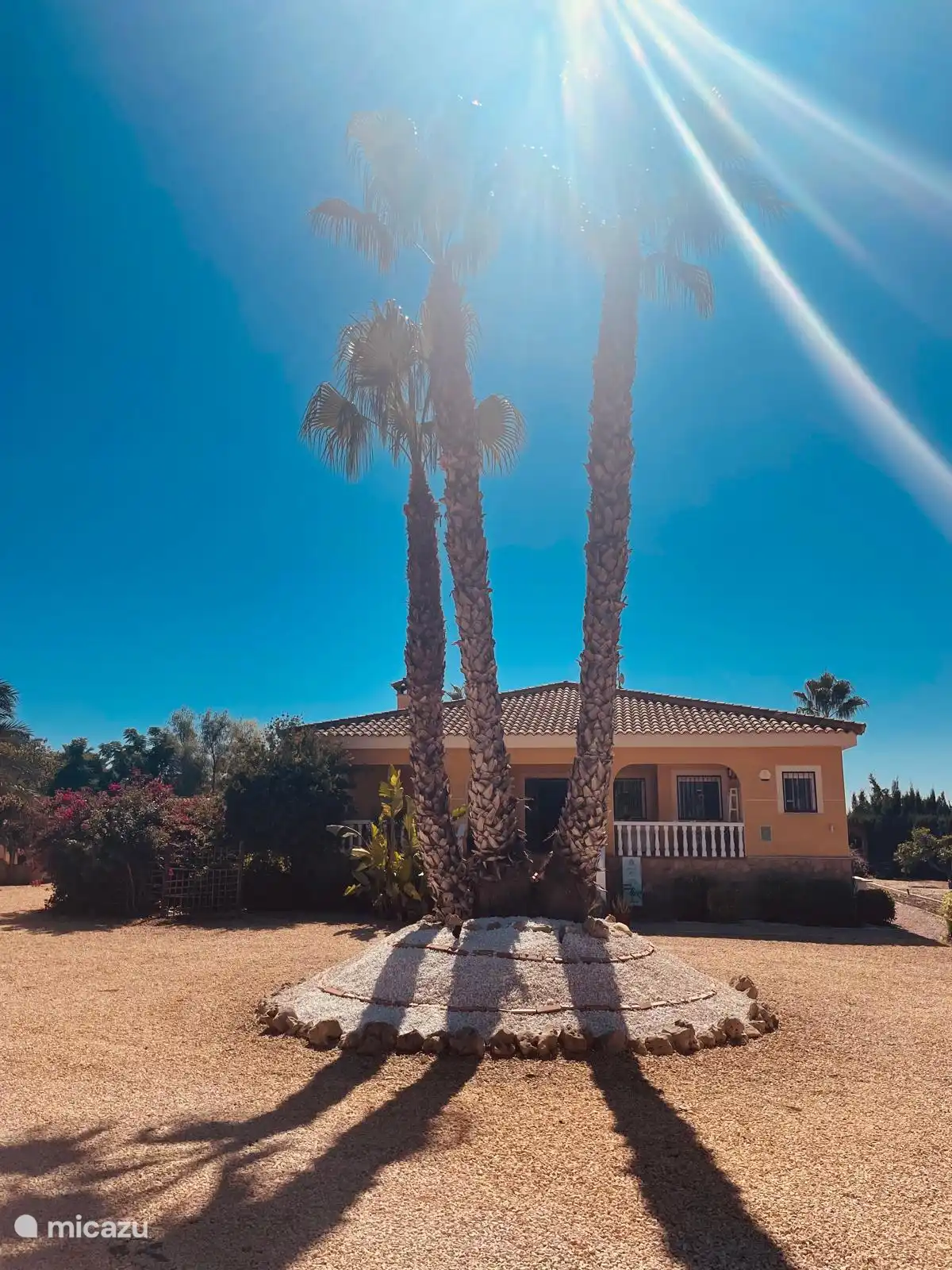 finca huren in El Altet, Costa Blanca, Spanje - Finca Vida Lenta