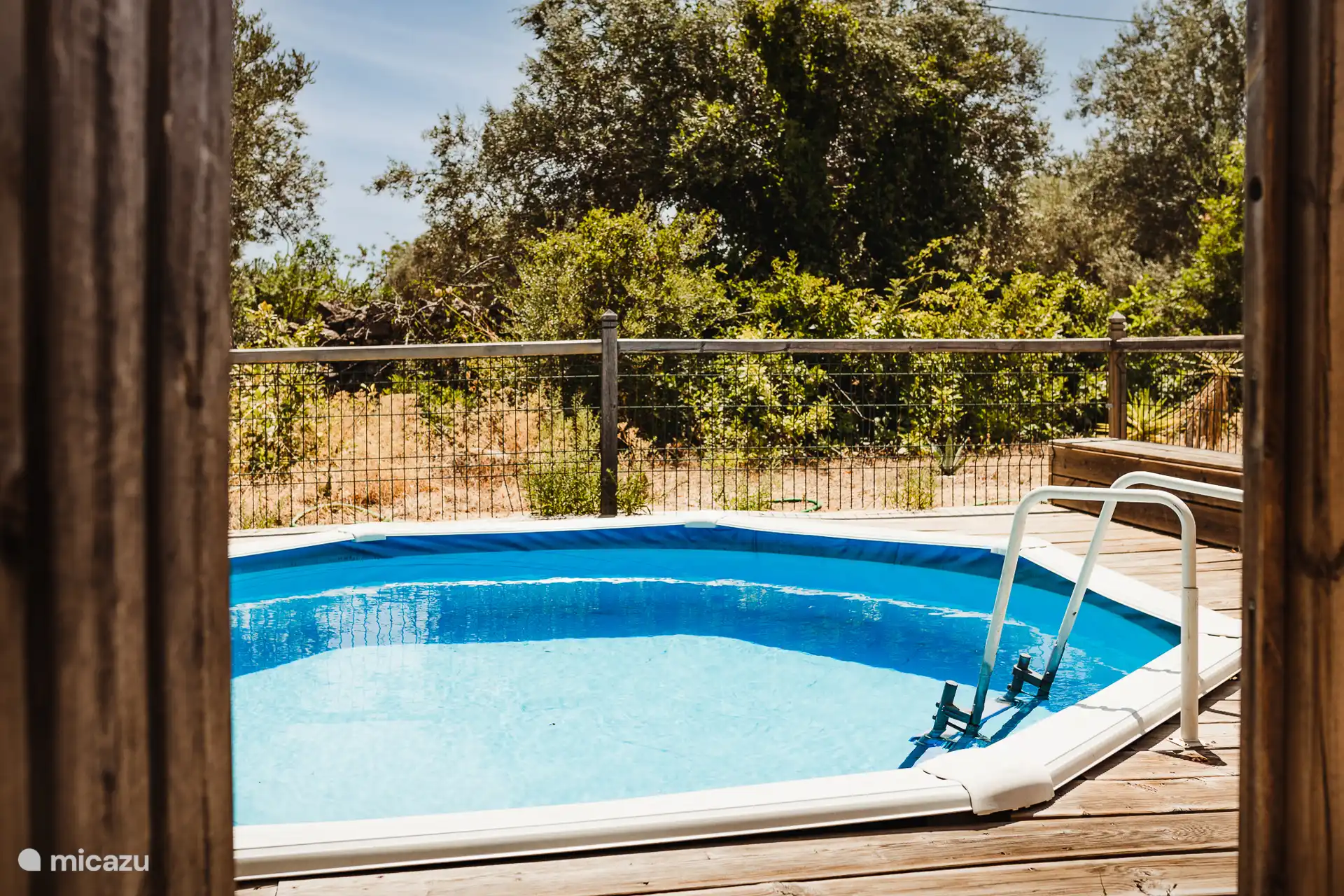 Geheel privé zwemmen met zicht op een oude olijfbomengaard