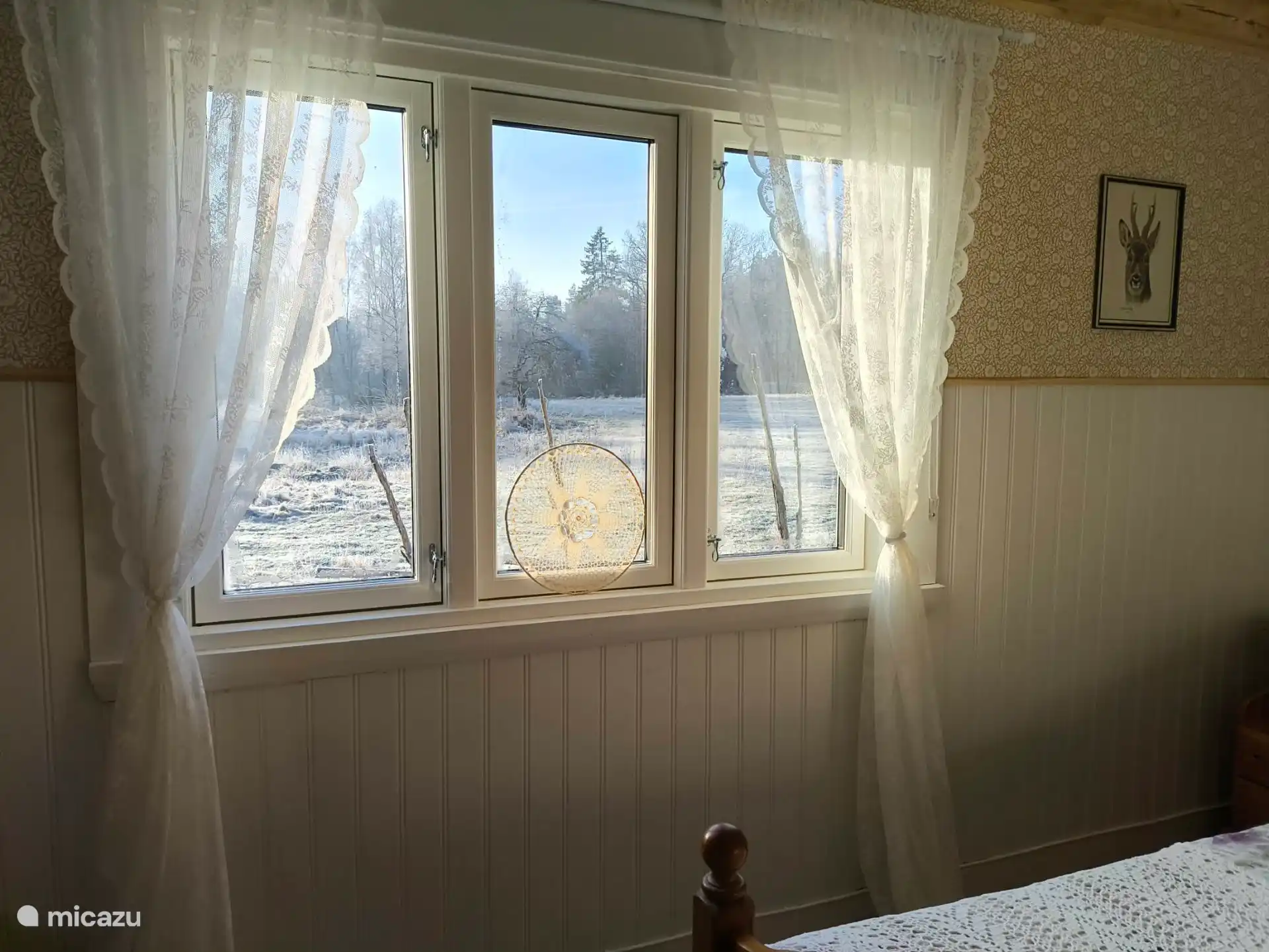 View from the bedroom.