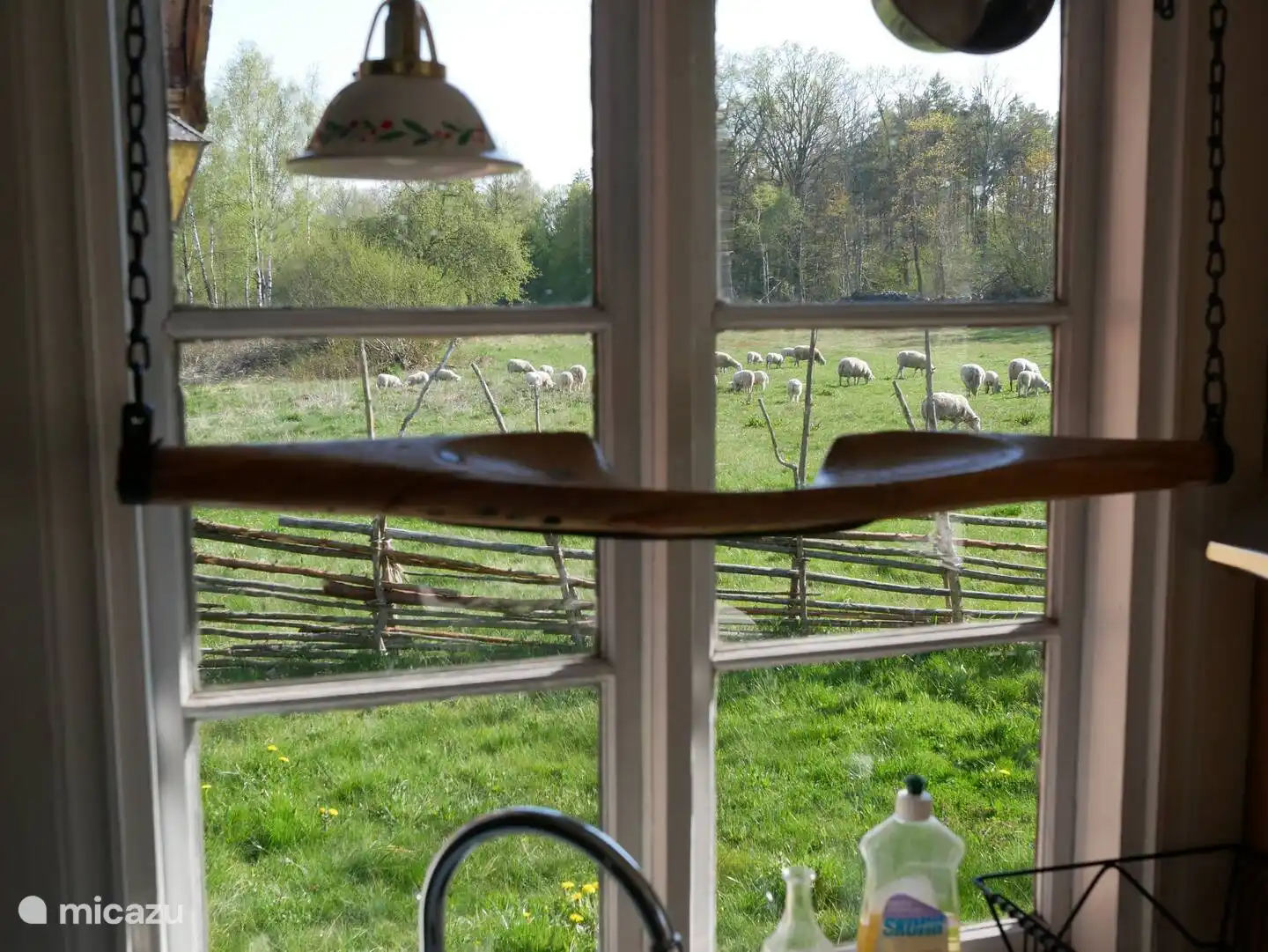 View of the meadow from the kitchen window.