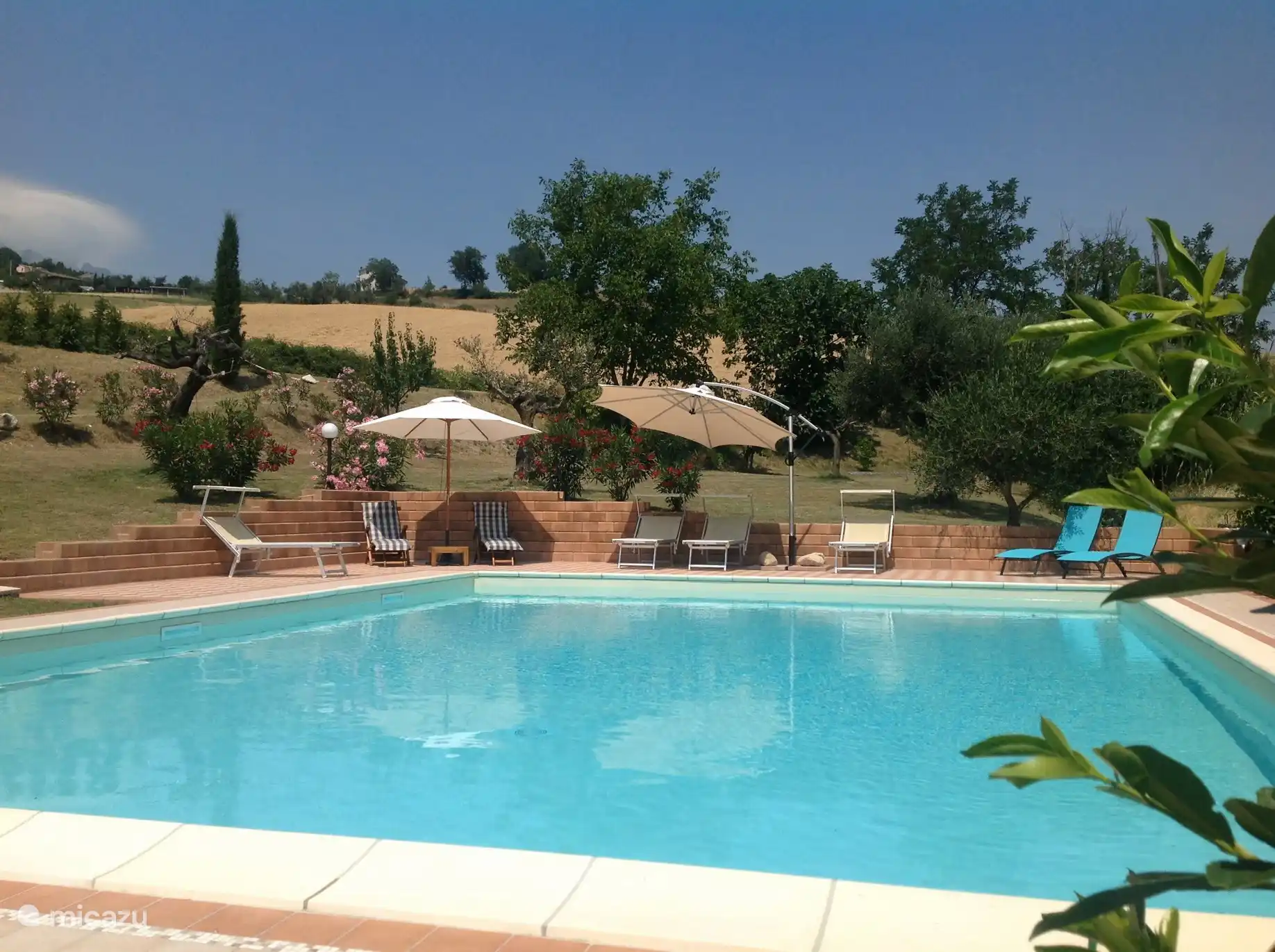The swimming pool with sun loungers and parasols.