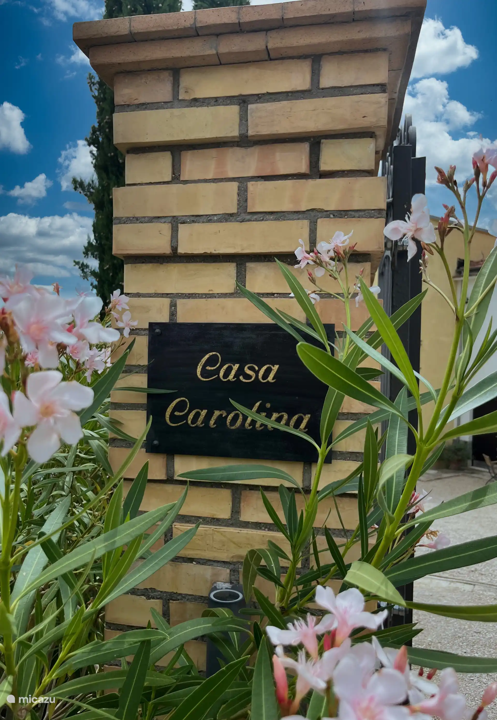 Welcome to Casa Carolina, the yard of which Casa Bertone is a part.