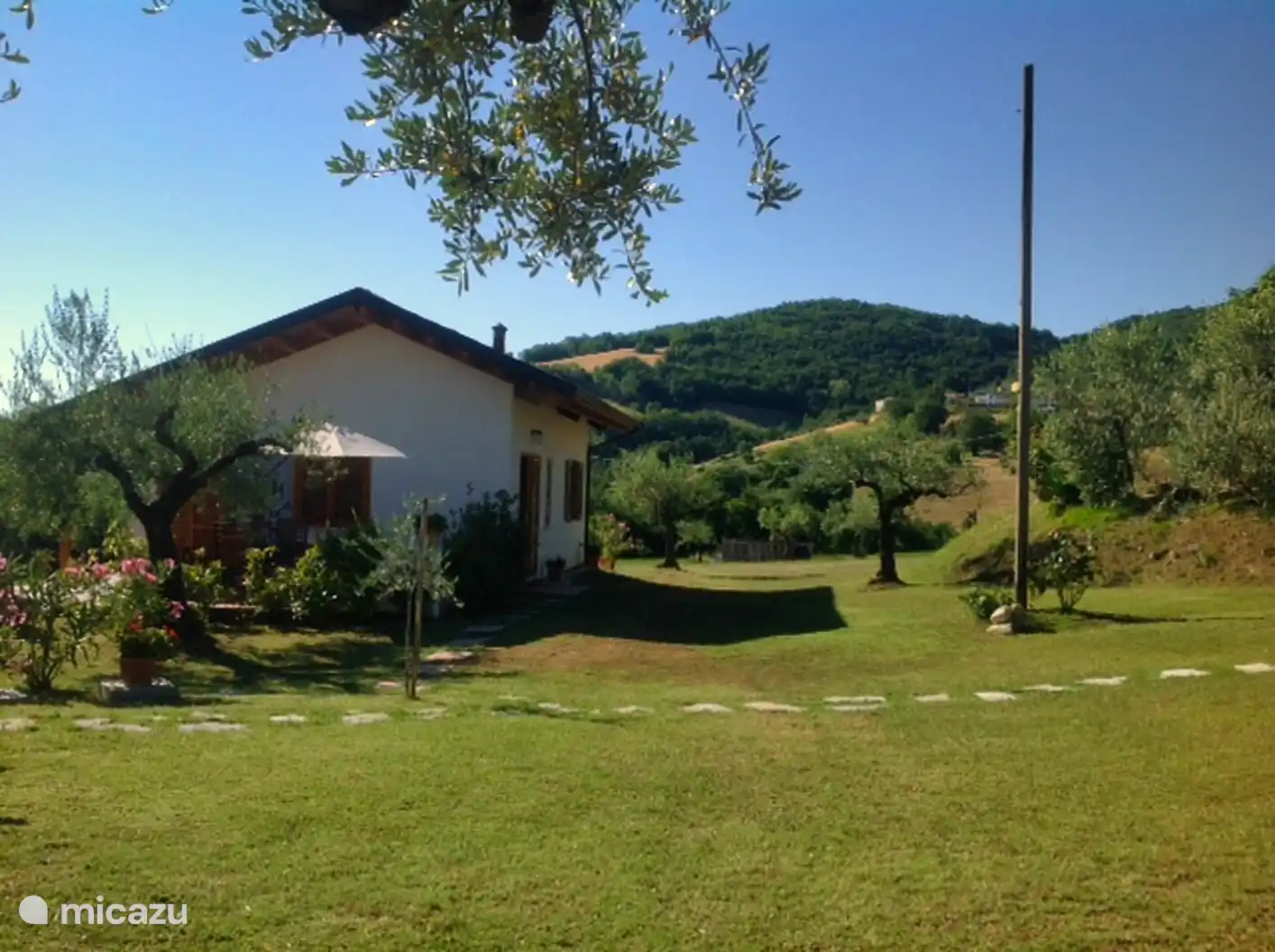 The garden with olive and fruit trees