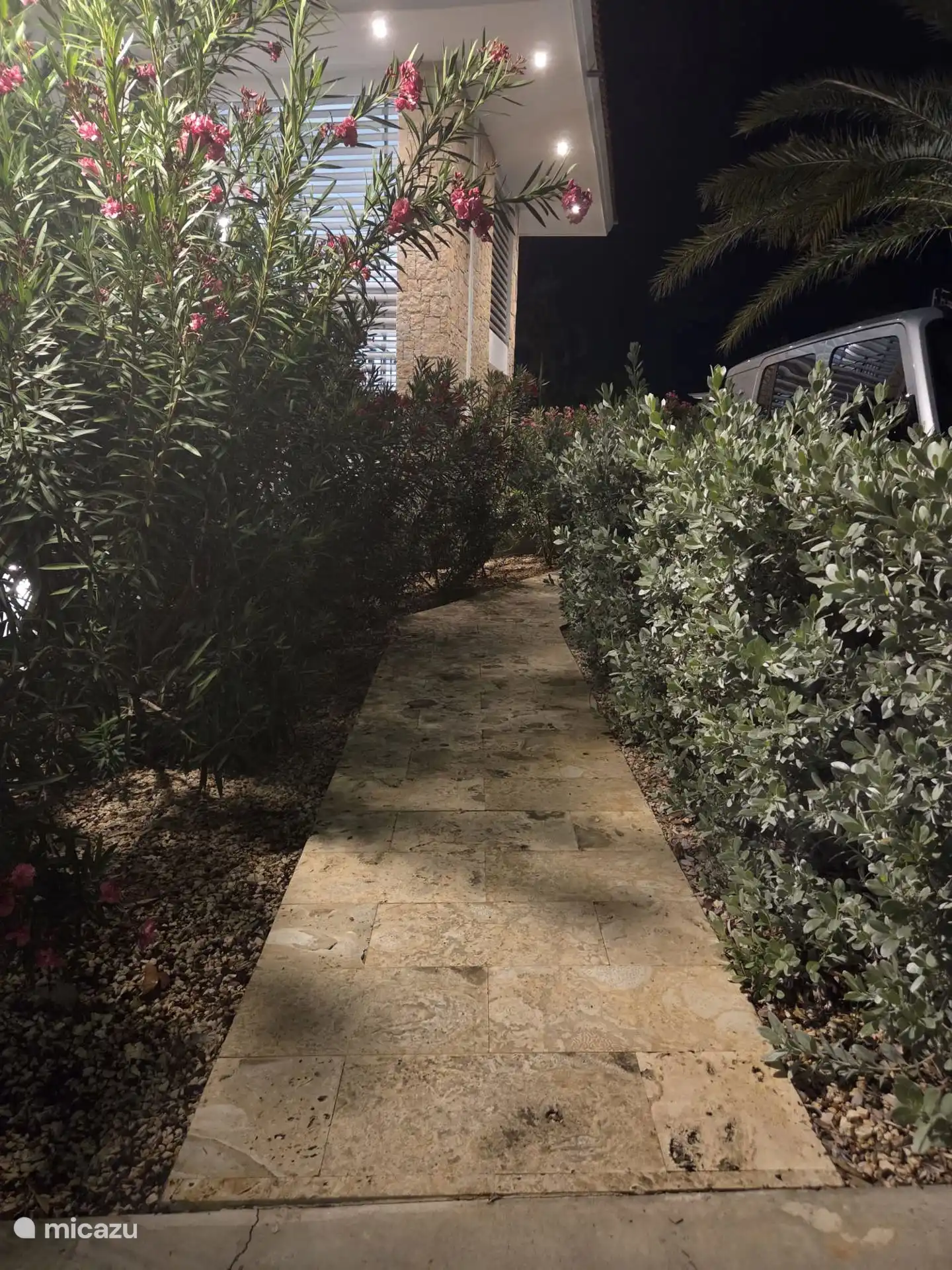 Omgeving van de tuin in het donker.