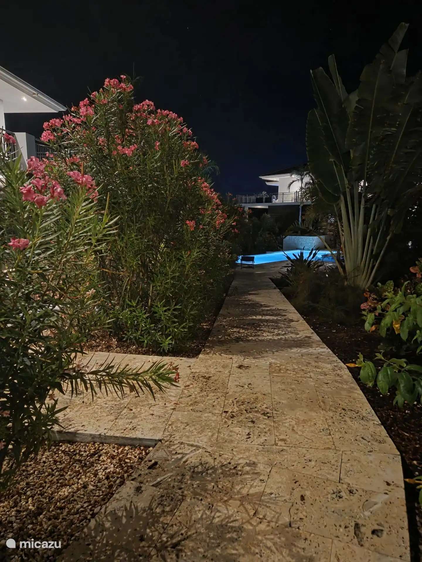 Omgeving van de tuin in het donker.