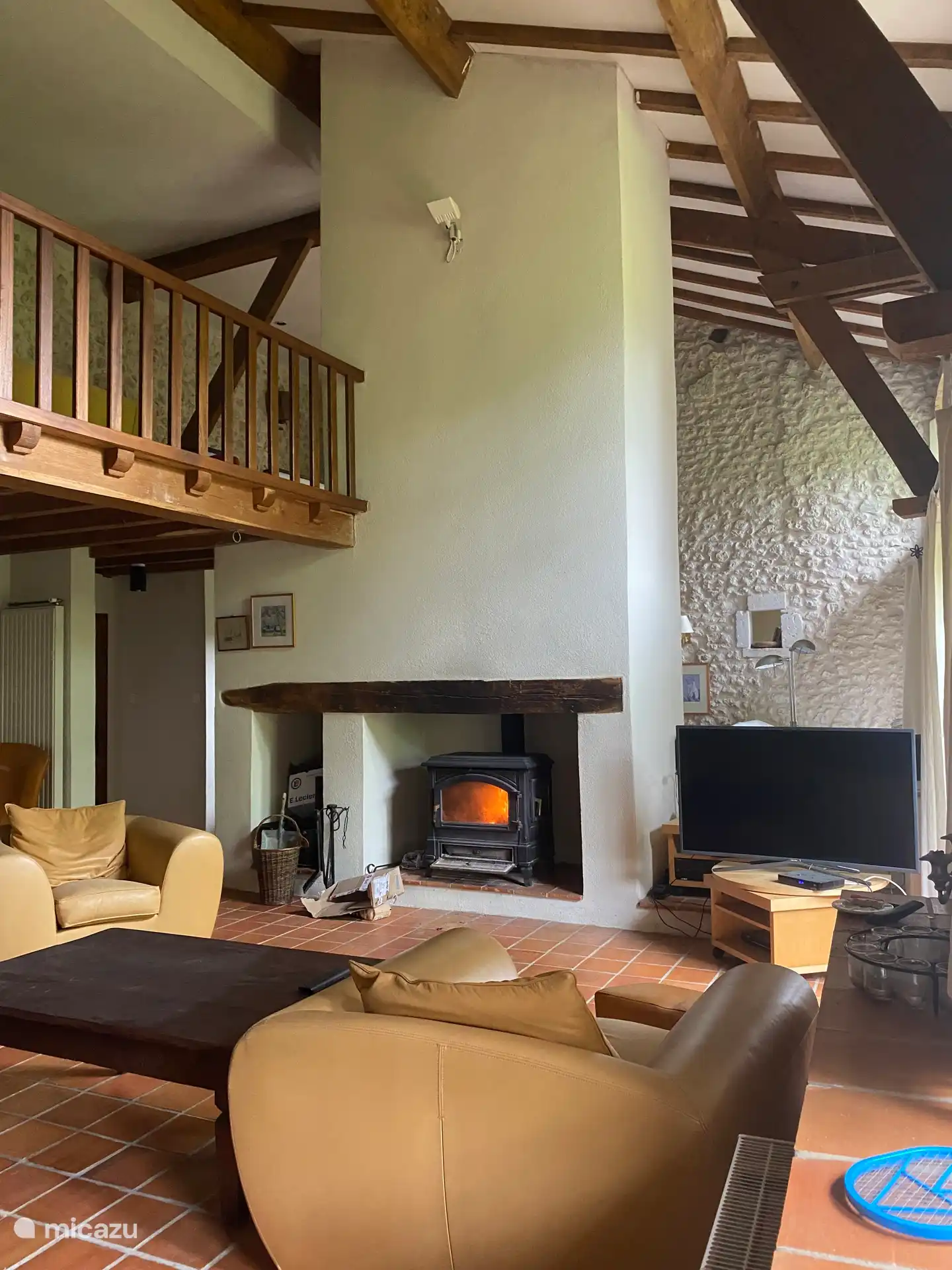 grand salon avec cheminée