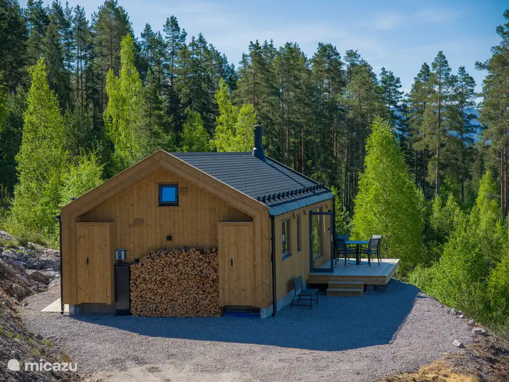holiday house in Norway, Telemark, Vradal – Furuheim Lodge - Lille Lodge