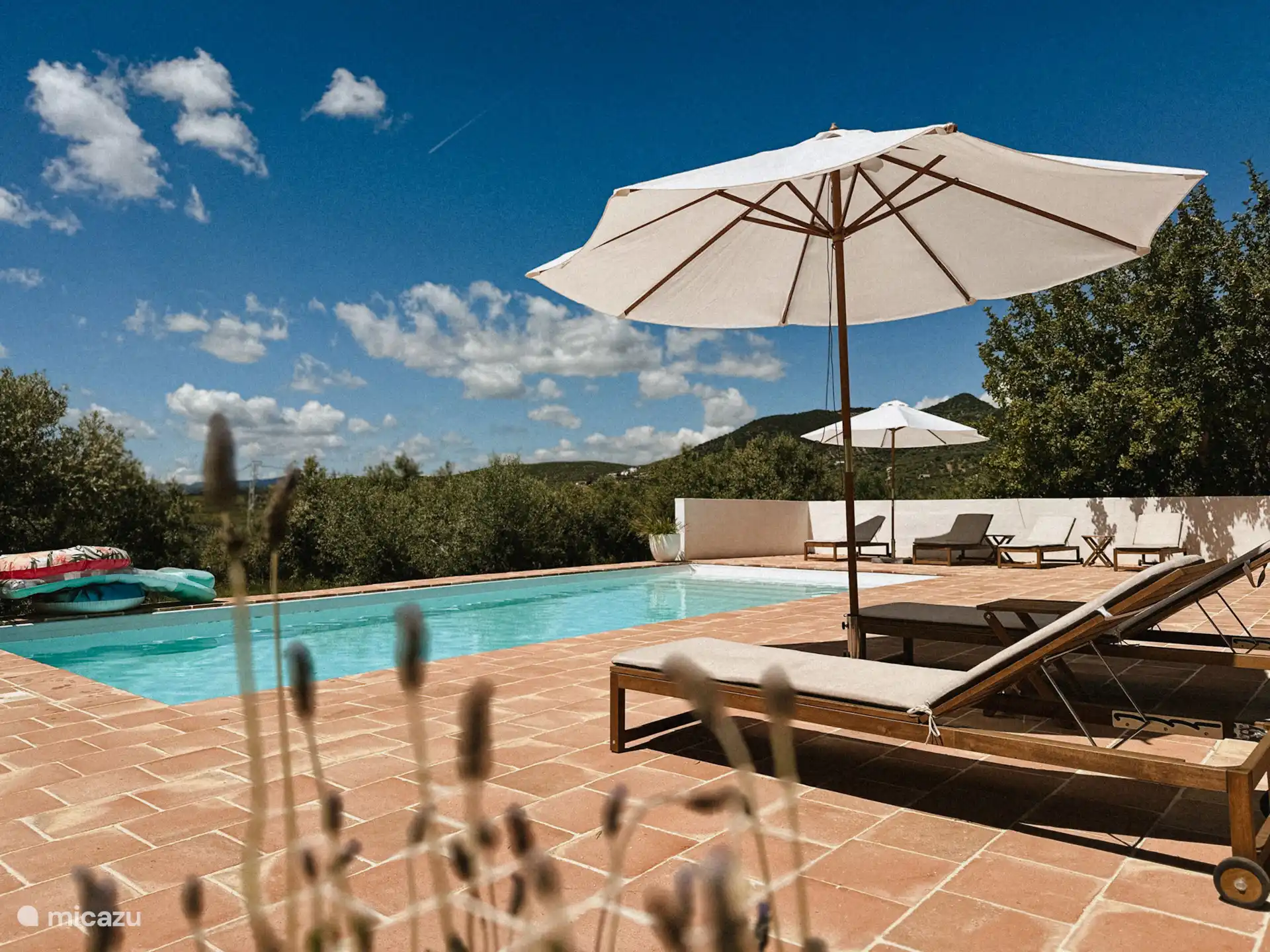 Het zwembad met zicht op de heuvels en bergen van Axarquia