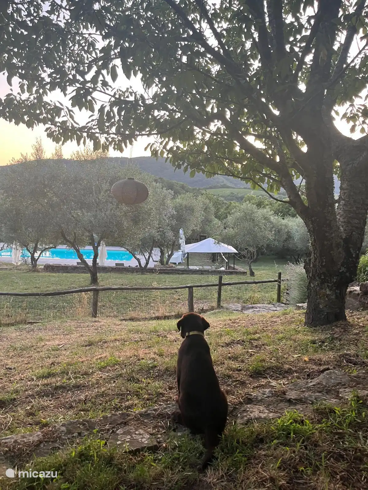Uitzicht over het zwembad vanuit terras Limone