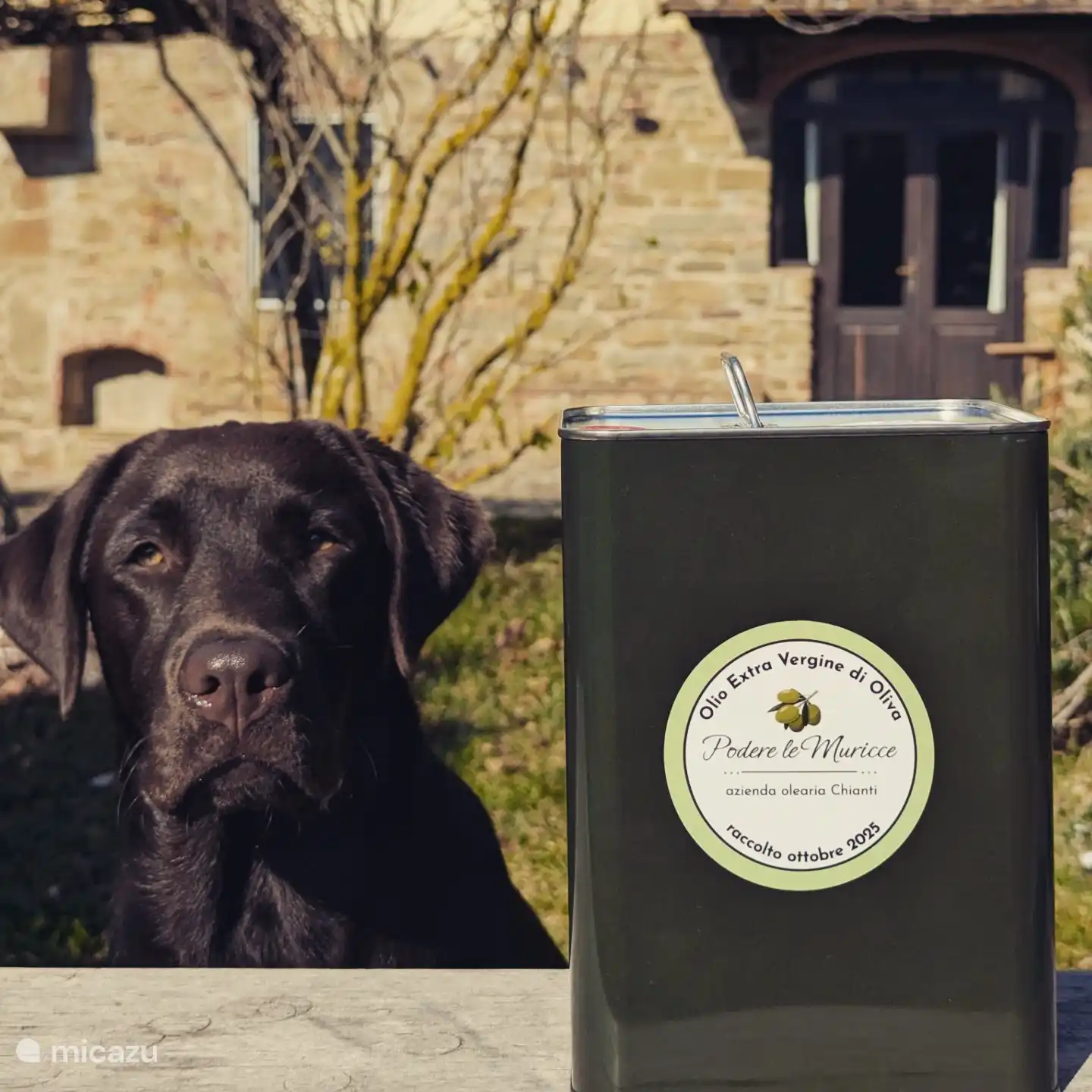 Onze hond Juul met onze olijfolie