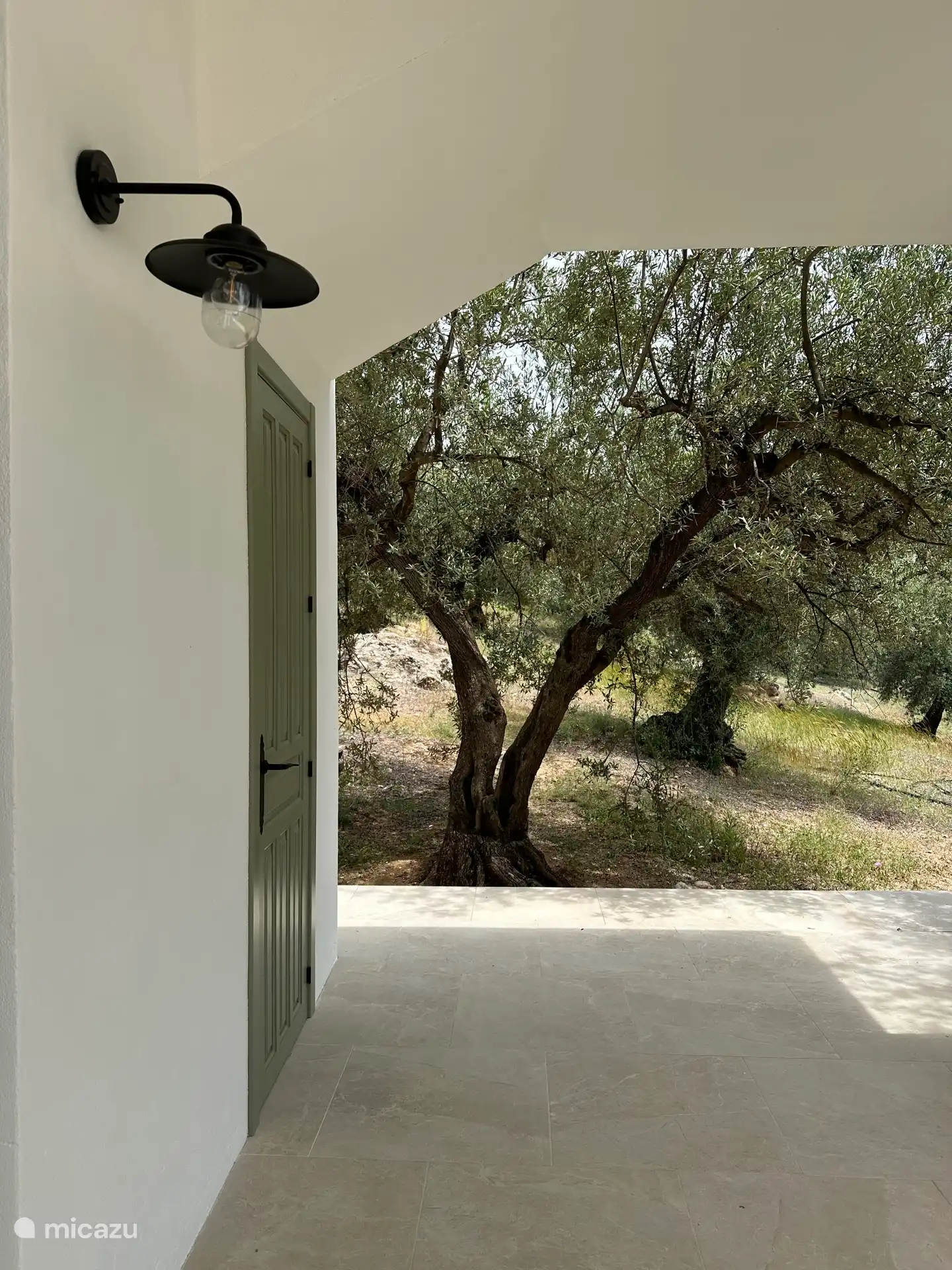 Het huis is omgeven met 100 olijfbomen.