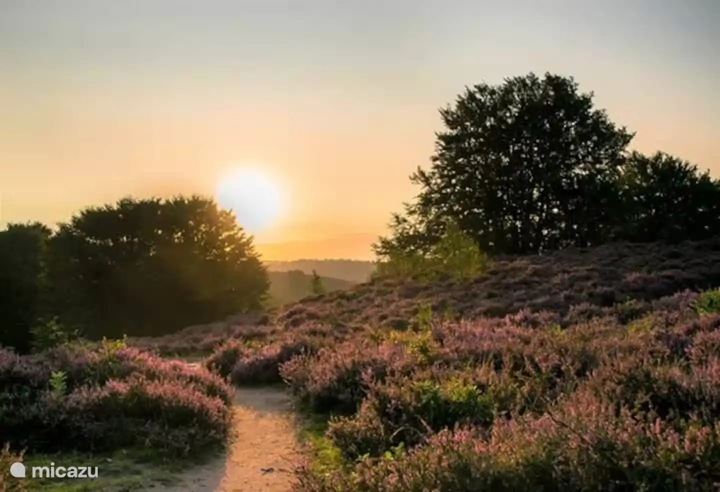 Vlinder 1 huren in Nederland, Gelderland, Hoenderloo - Chalet