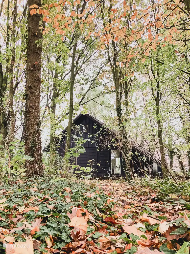 Nieuw Vakantiehuis huren in België, Oost-Vlaanderen, Aalter  – chalet Zonder Vaart