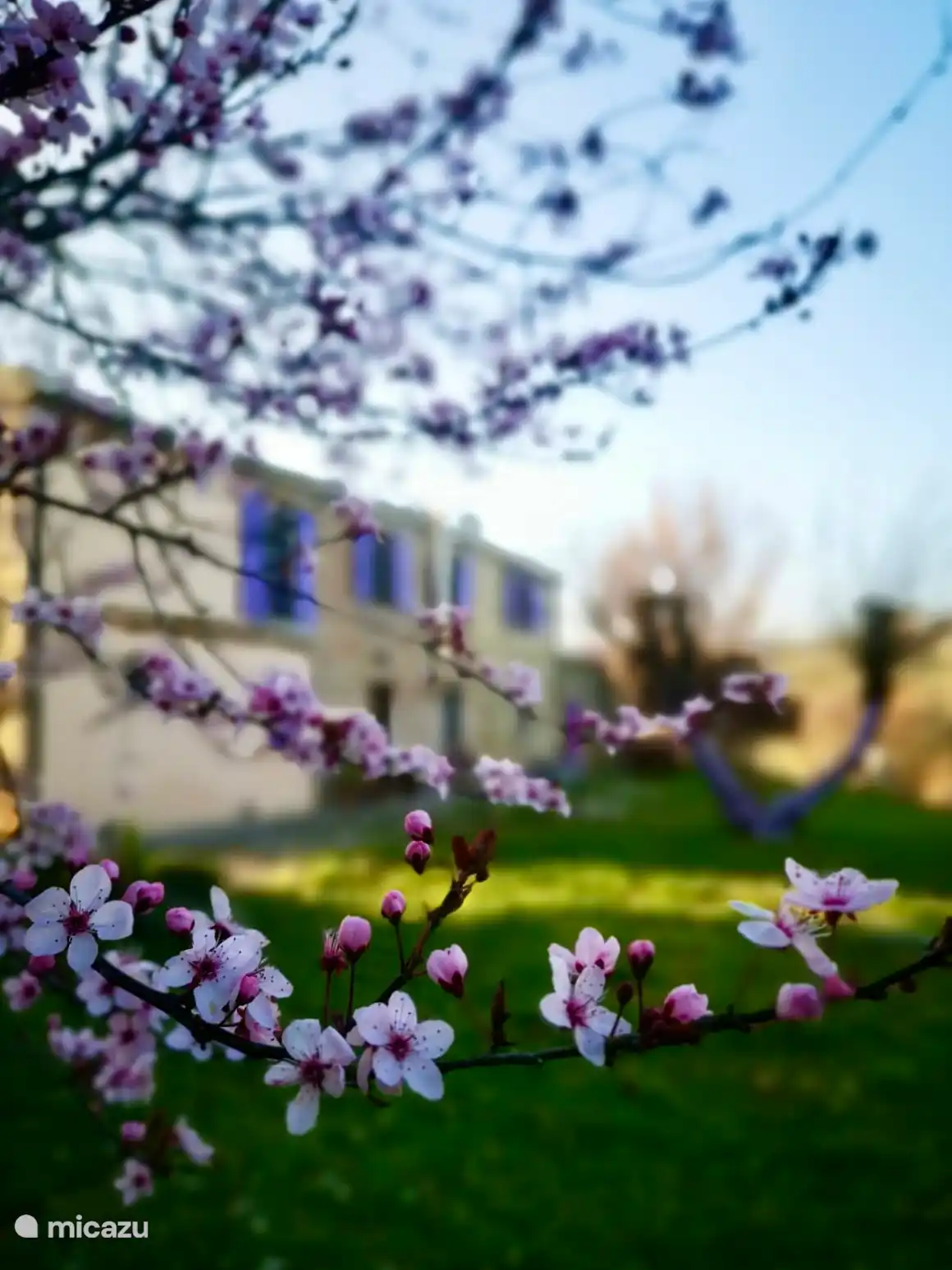 LE JARDIN DE L’EST