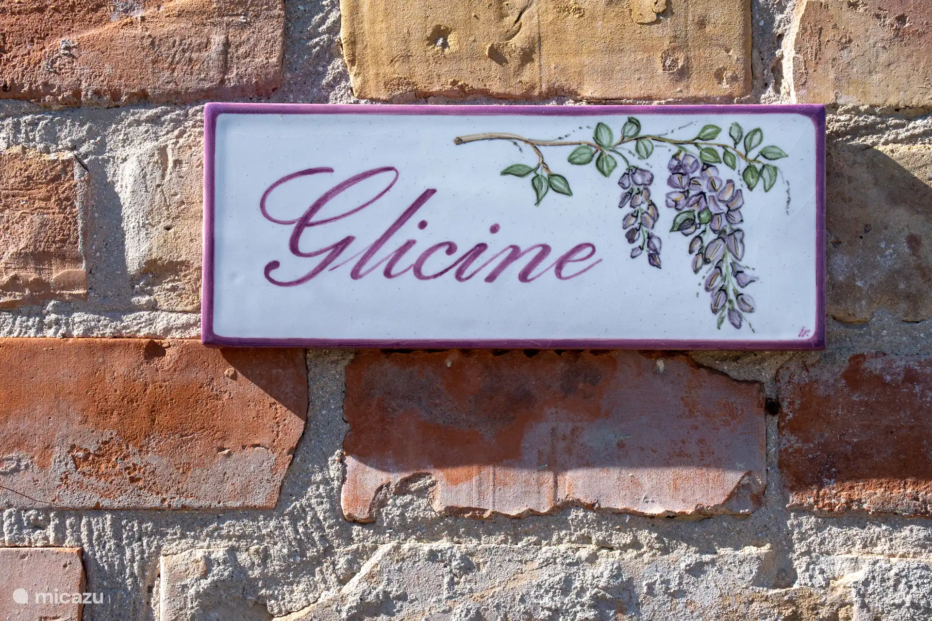 Glicine