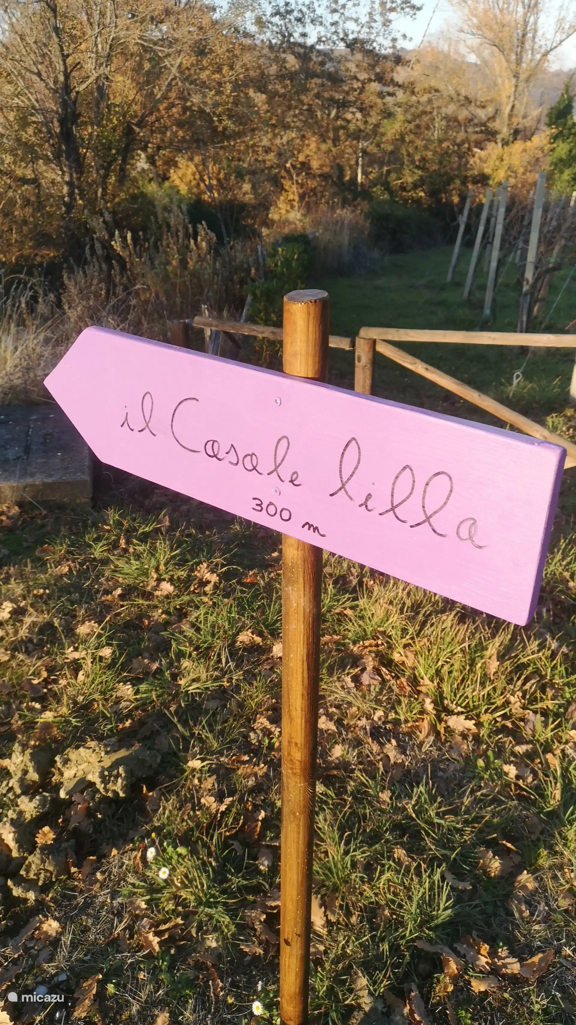 Suivez la couleur lilas