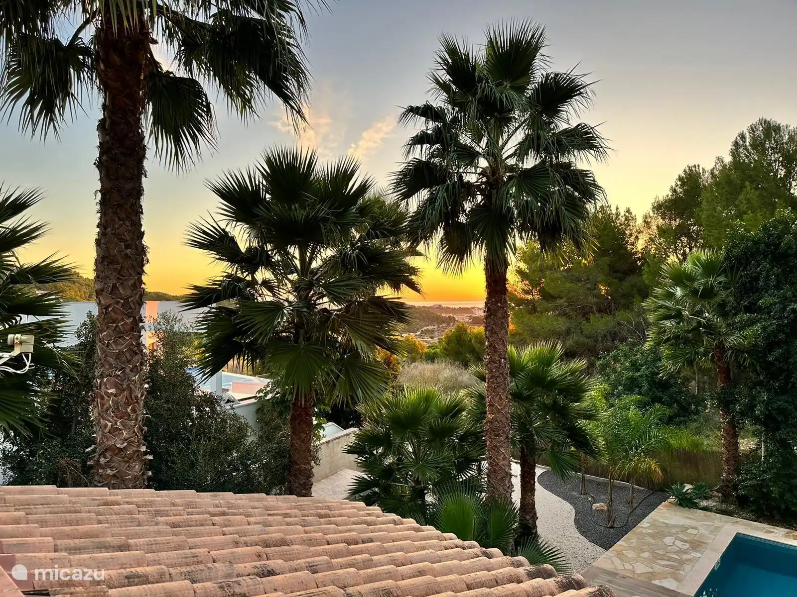 Palmbomen zonsopgang 