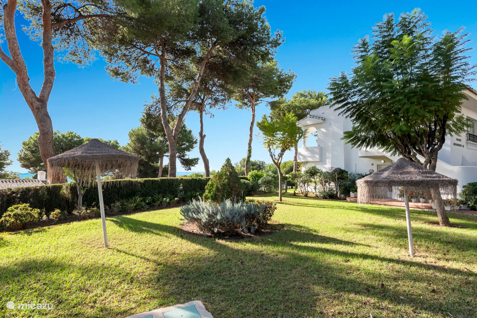 Jardín de la piscina con tumbonas