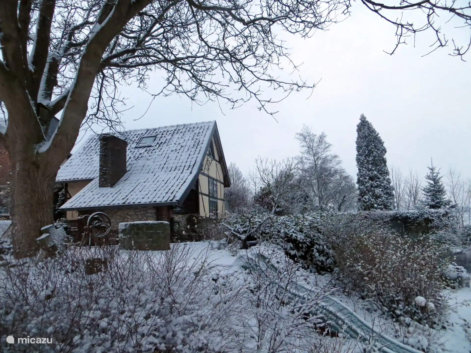 Bakhoes in de winter