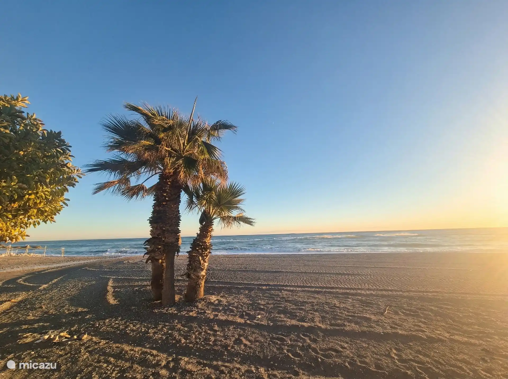
Palmen en zee langs de boulevard van Torrox Costa.
