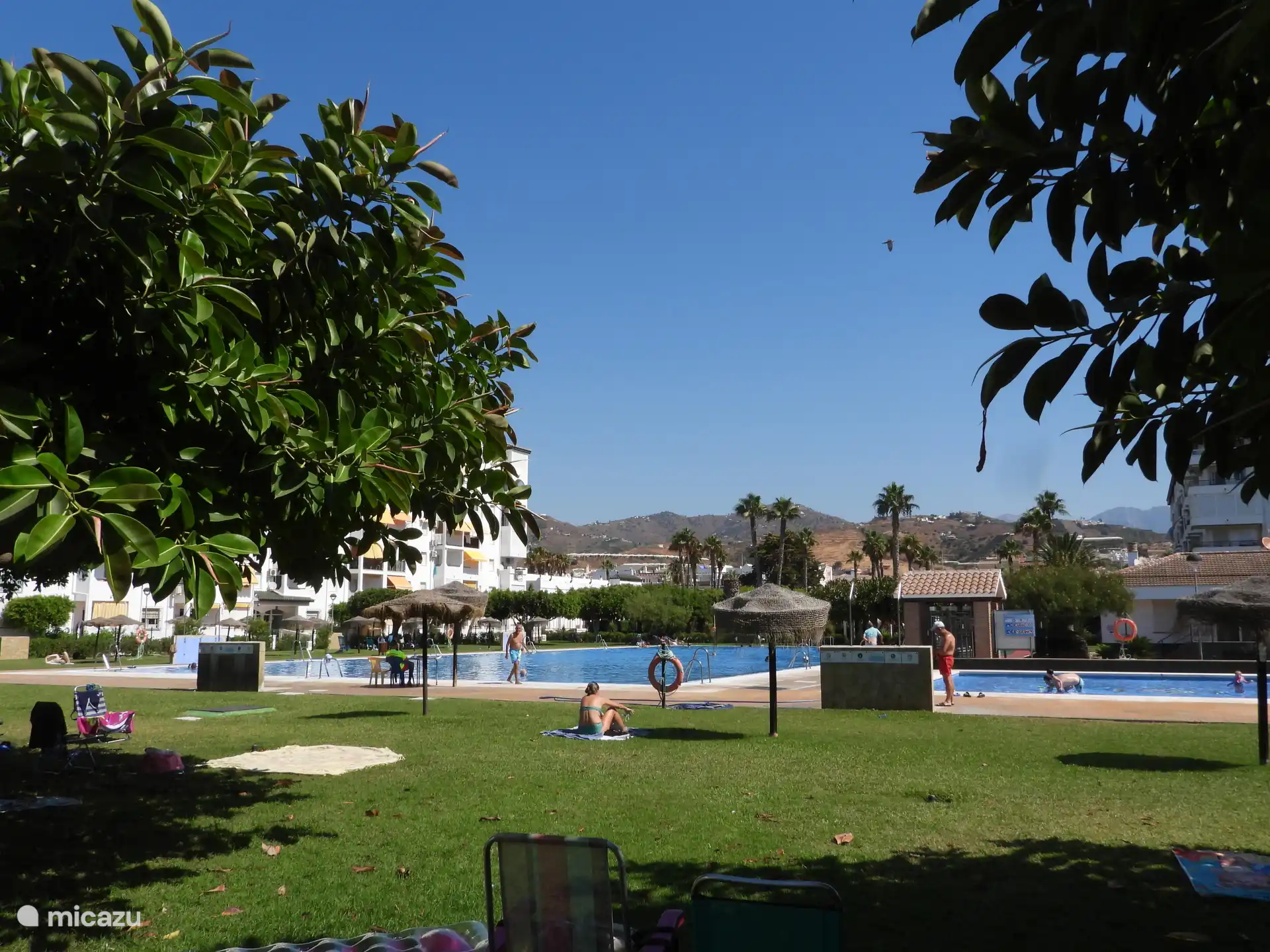 Het zwembad heeft een ligweide in een groene omgeving en een kinderbad ernaast.