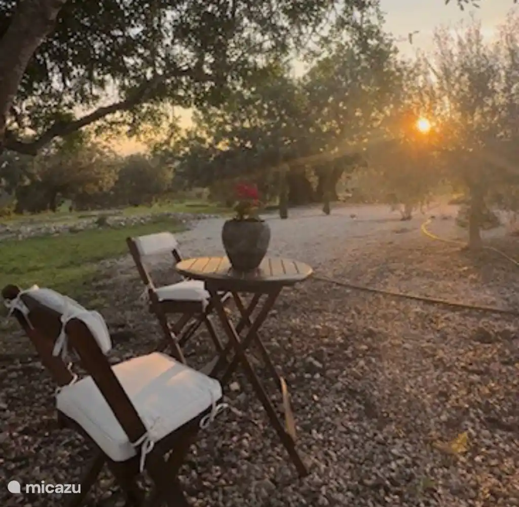 Coucher de soleil sur l’une des terrasses. 