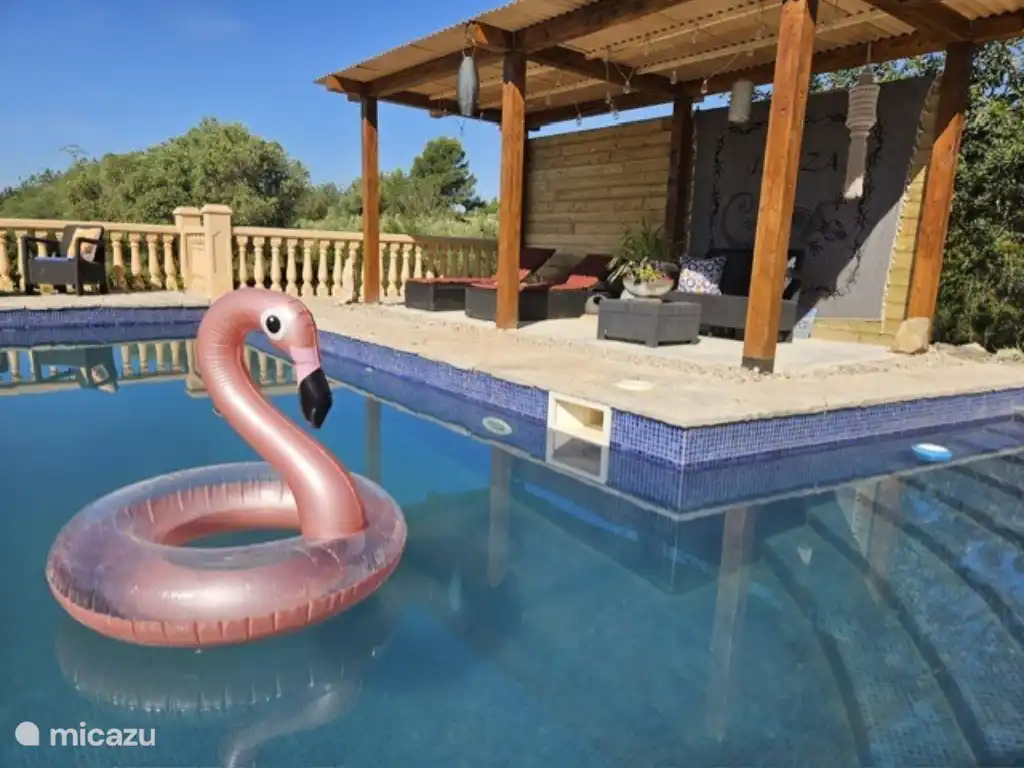 Zeit für ein Bad im Pool!
