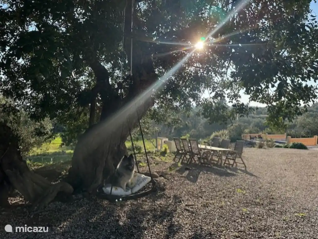 Profitez du jardin rural. 