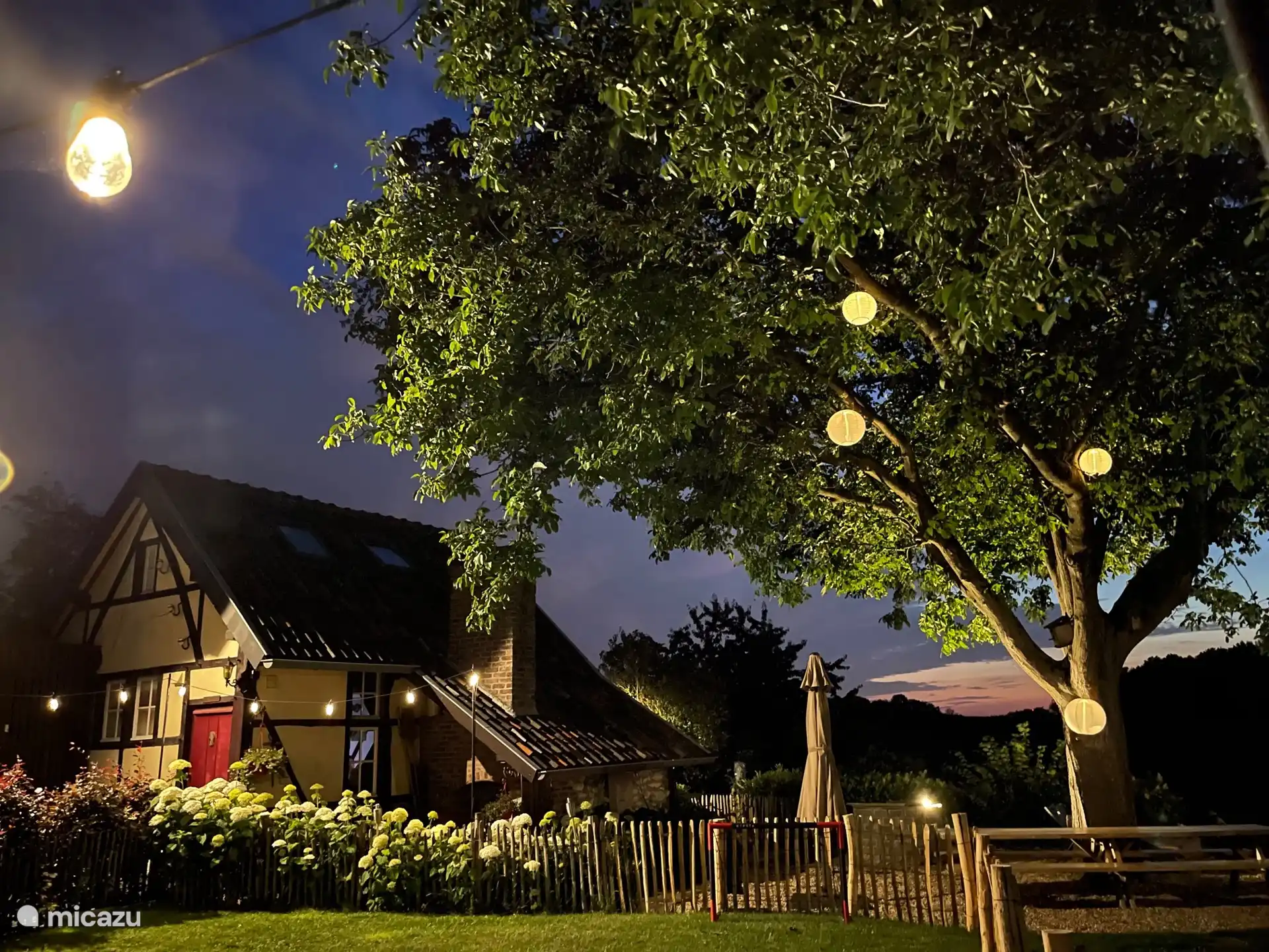 sfeerverlichting gemeenschappelijke tuin en walnootboom