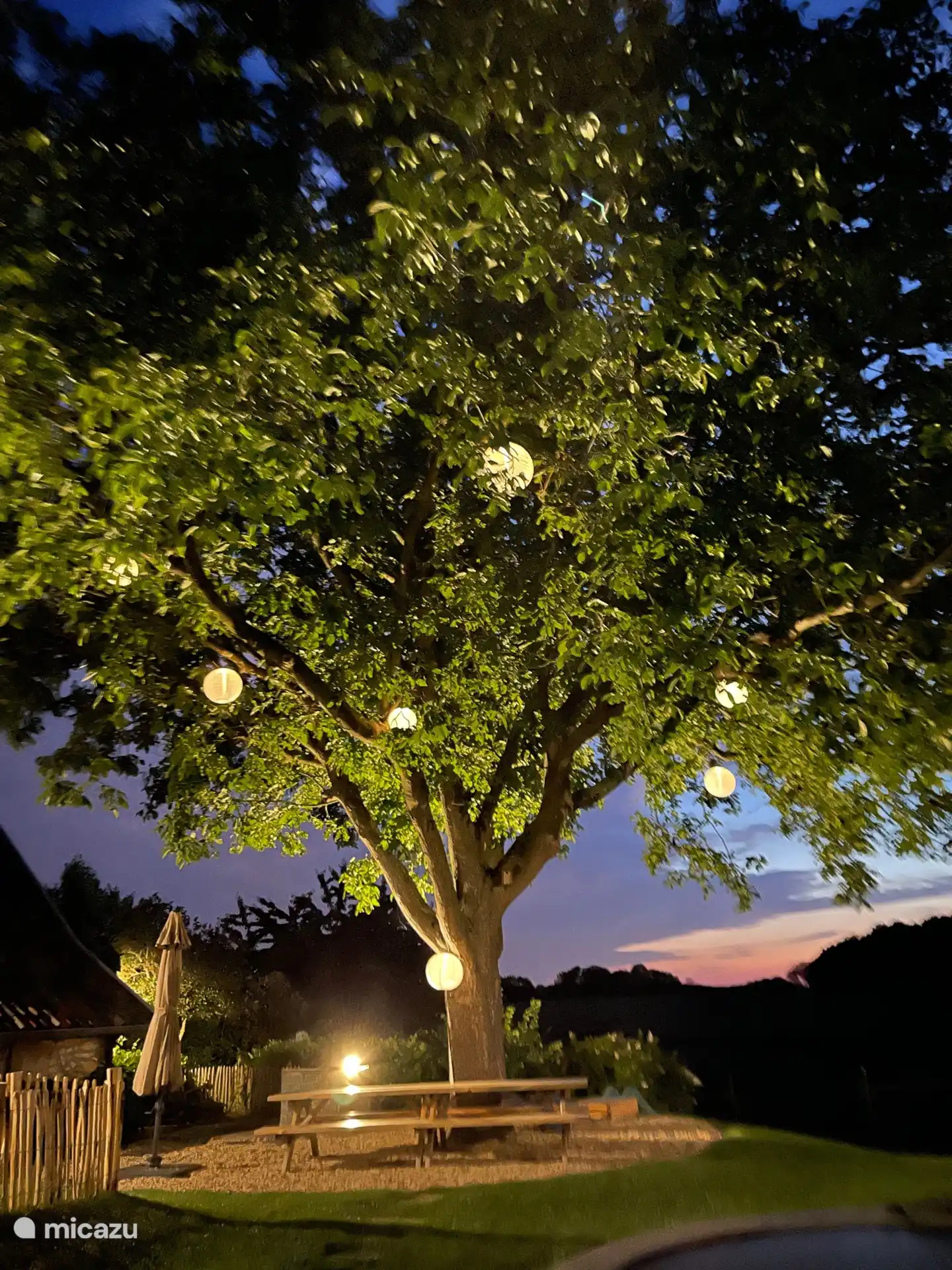picknicktafel onder walnootboom
