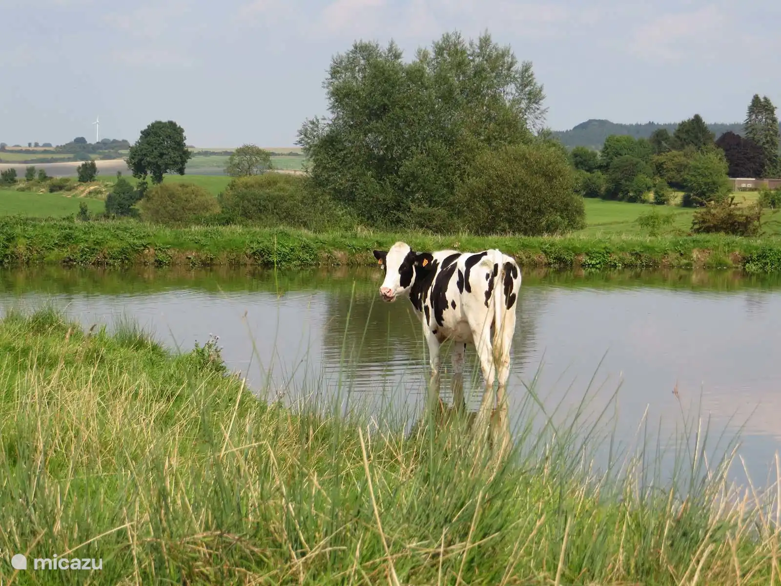 Genieten van de mooie Limburgse omgeving