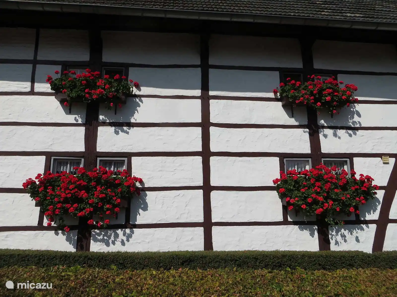 Vakwerk in de omgeving