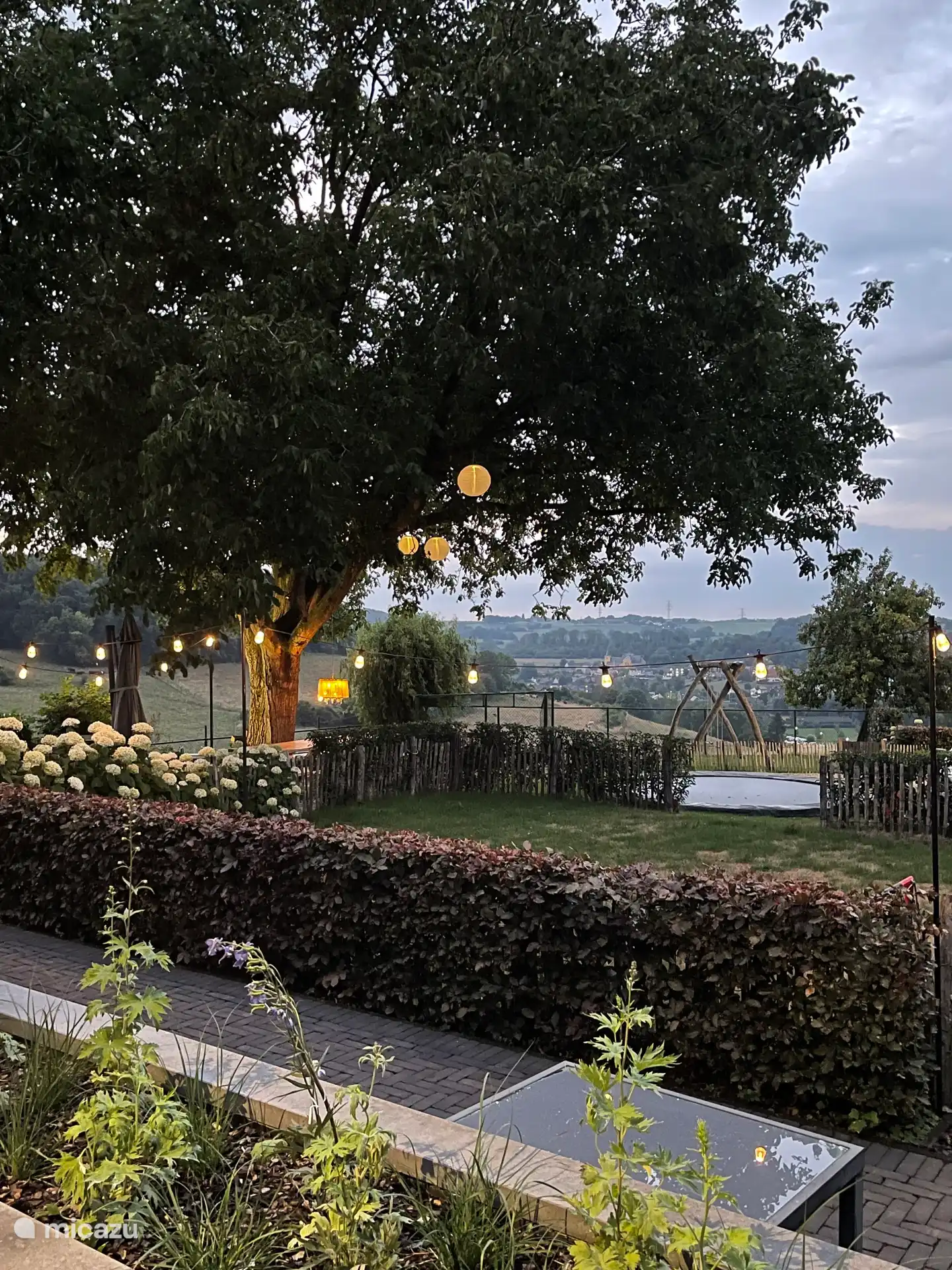 Gezellige avondverlichting onder de grote walnootboom met uitzicht over Schin op Geul