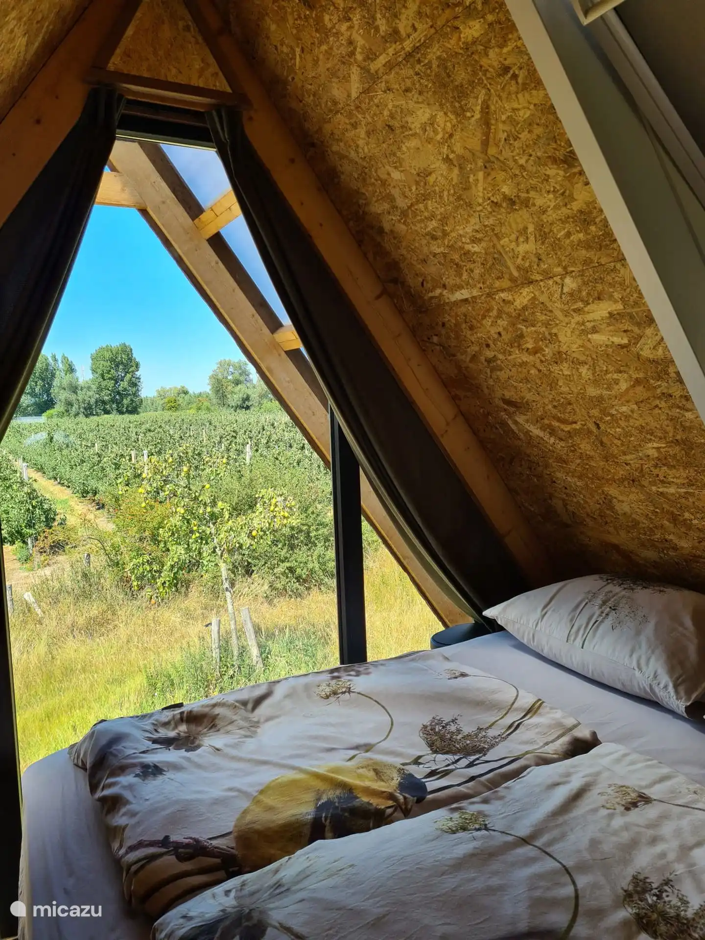 weids uitzicht over de boomgaard vanaf de slaapzolder