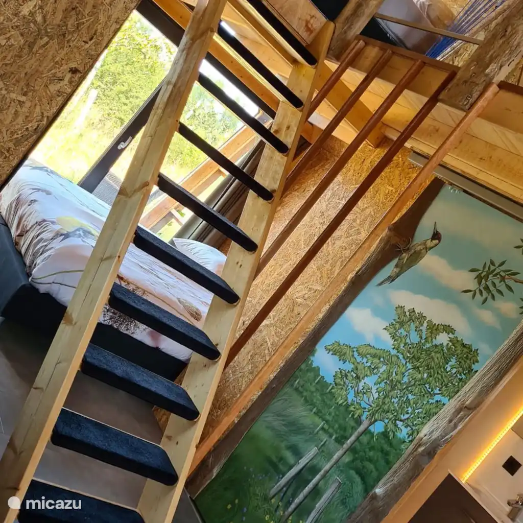 Vakantiehuisje de Groene Specht