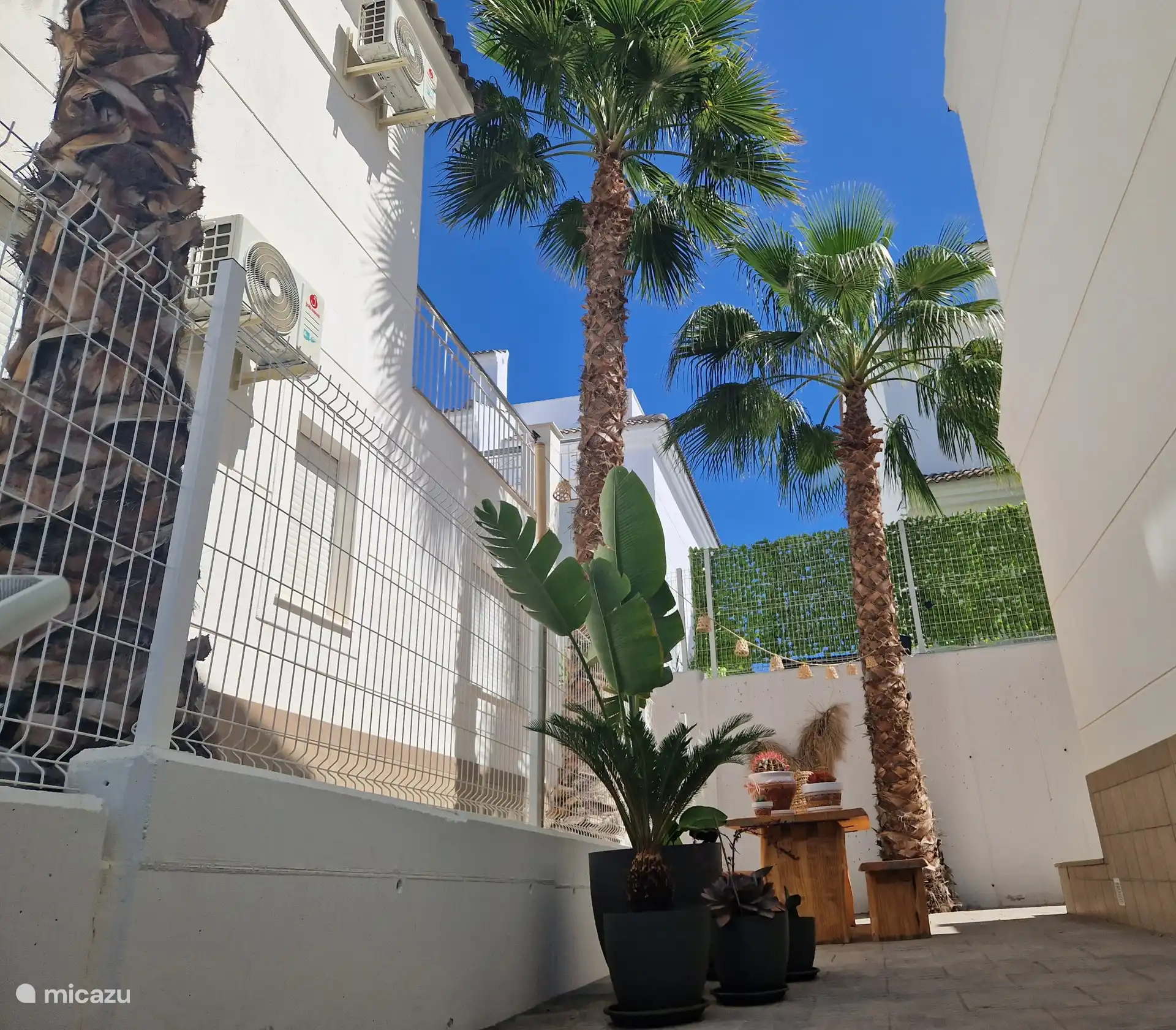 Jardin latéral avec table à manger.