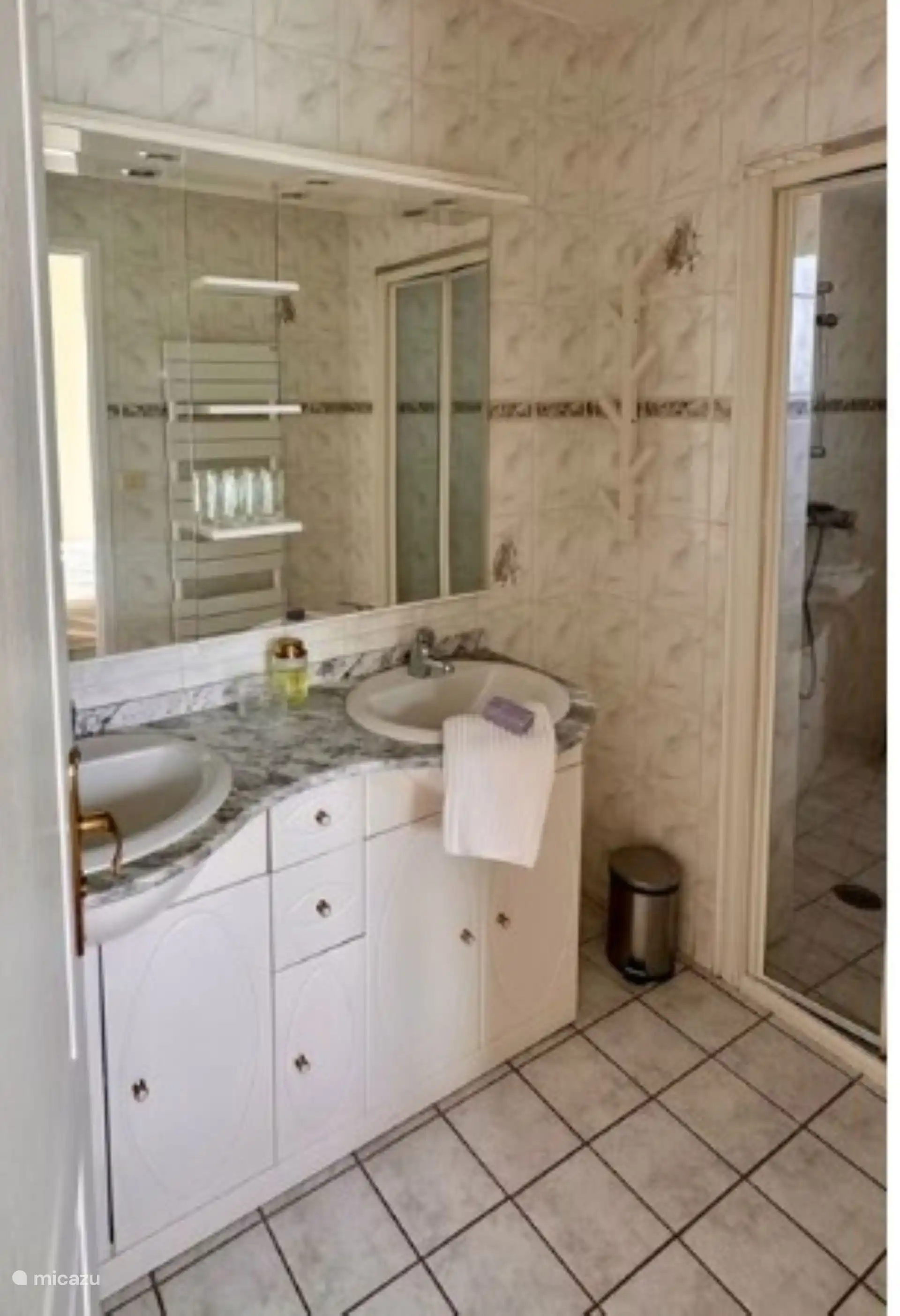 Badkamer met 2 wastafels en douche op de begane grond, aansluitend op de kamer