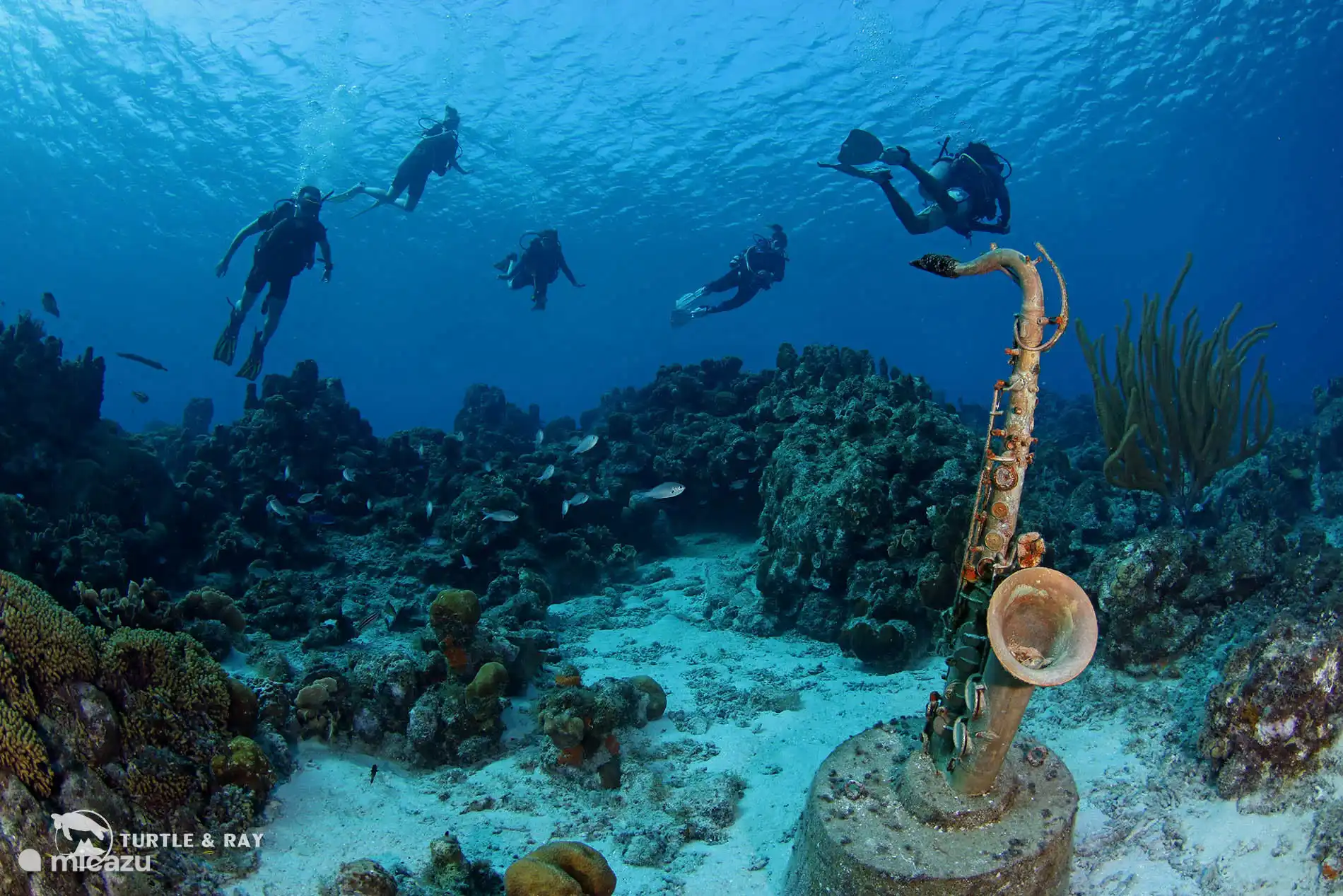 Snorkelen bij Alice in Wonderland