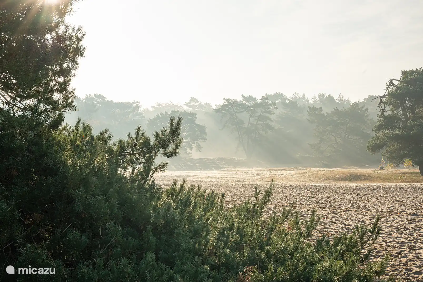 De Soester Zandverstuivingen
