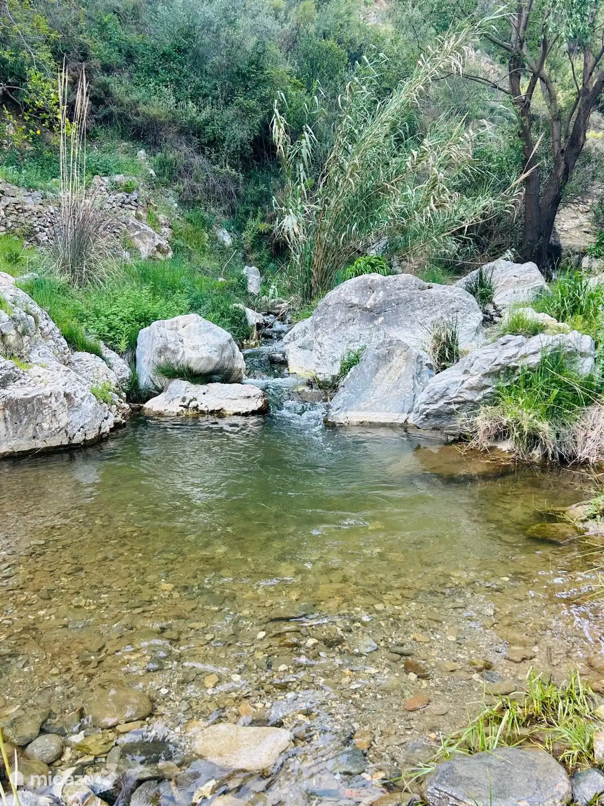 wandelen in de natuur
