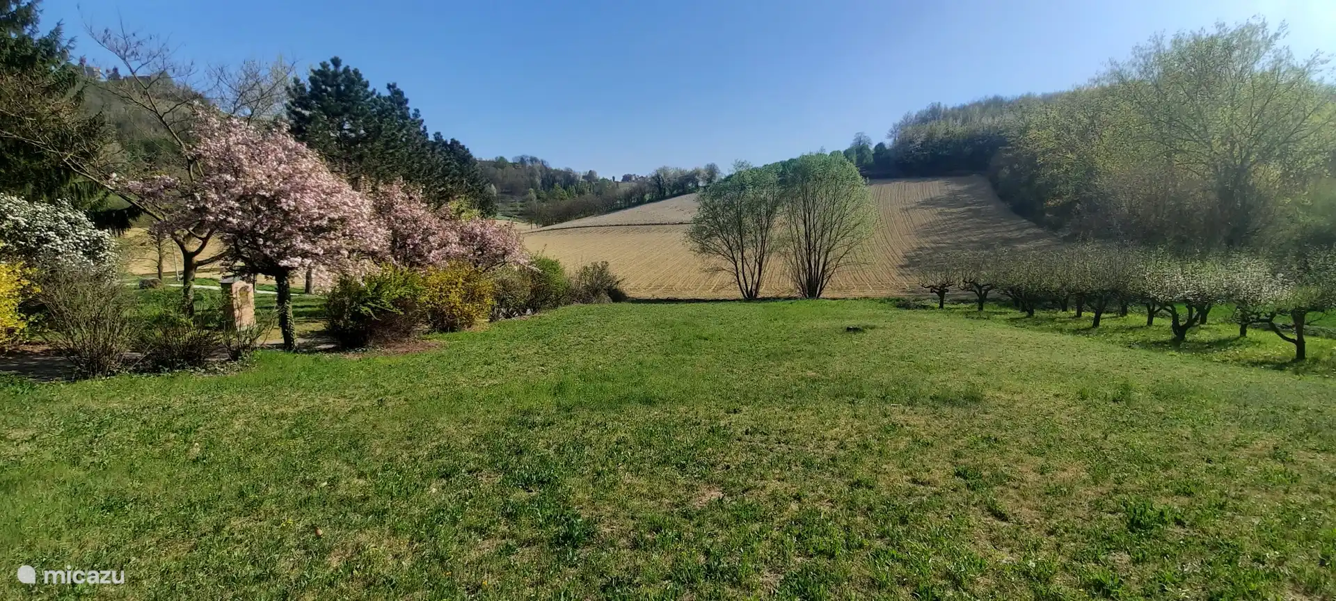 Veld naast de oprit met appelboomgaard