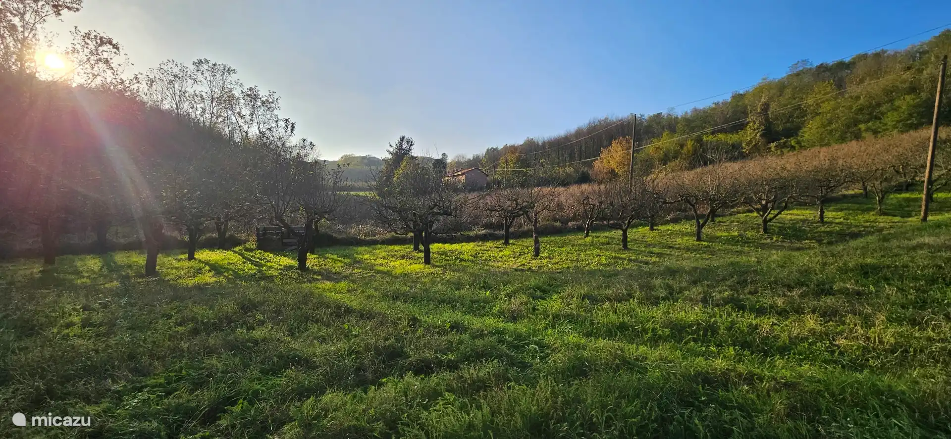 Zicht op de vallei met appleboomgaard