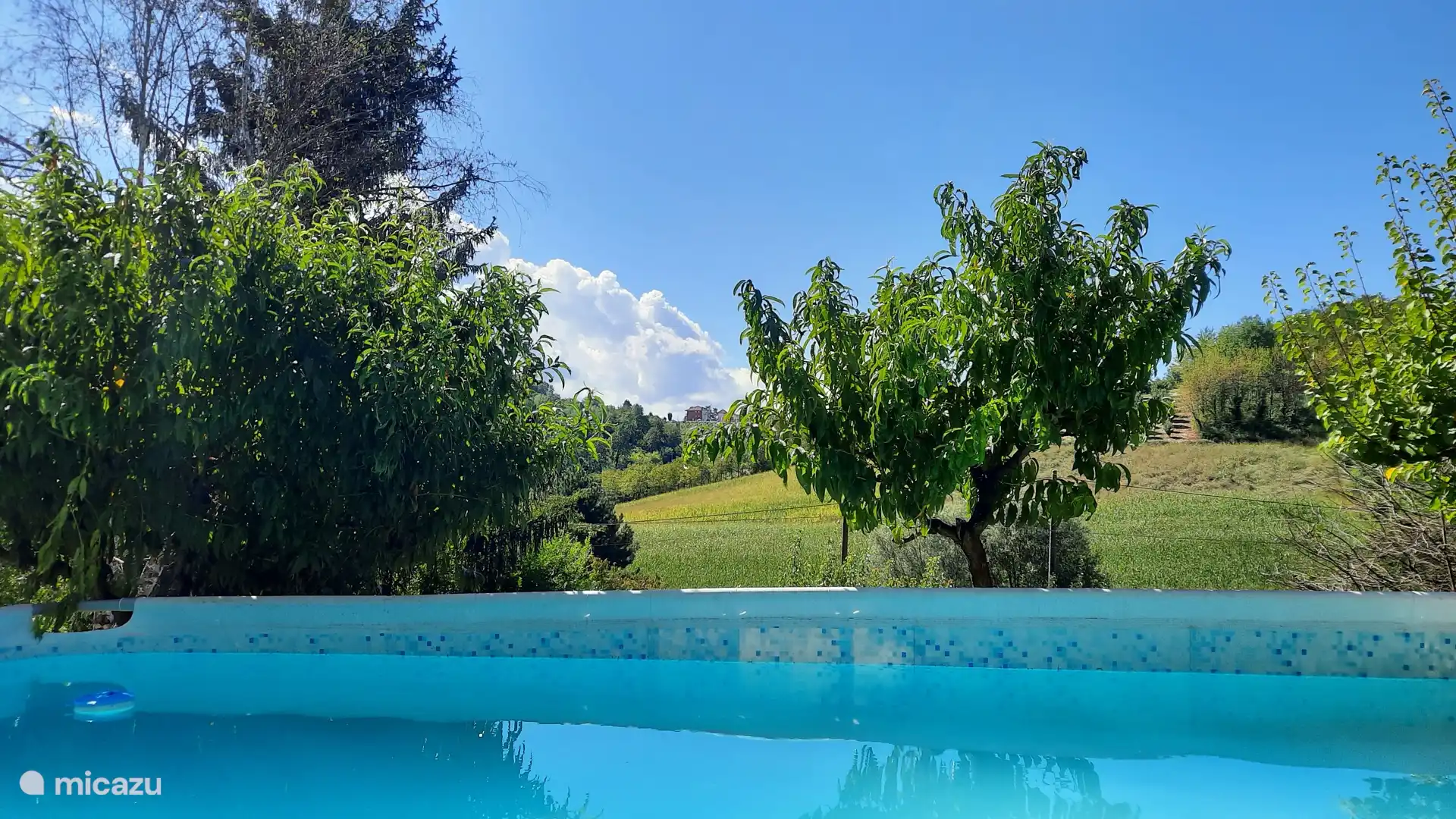 Vue depuis la piscine