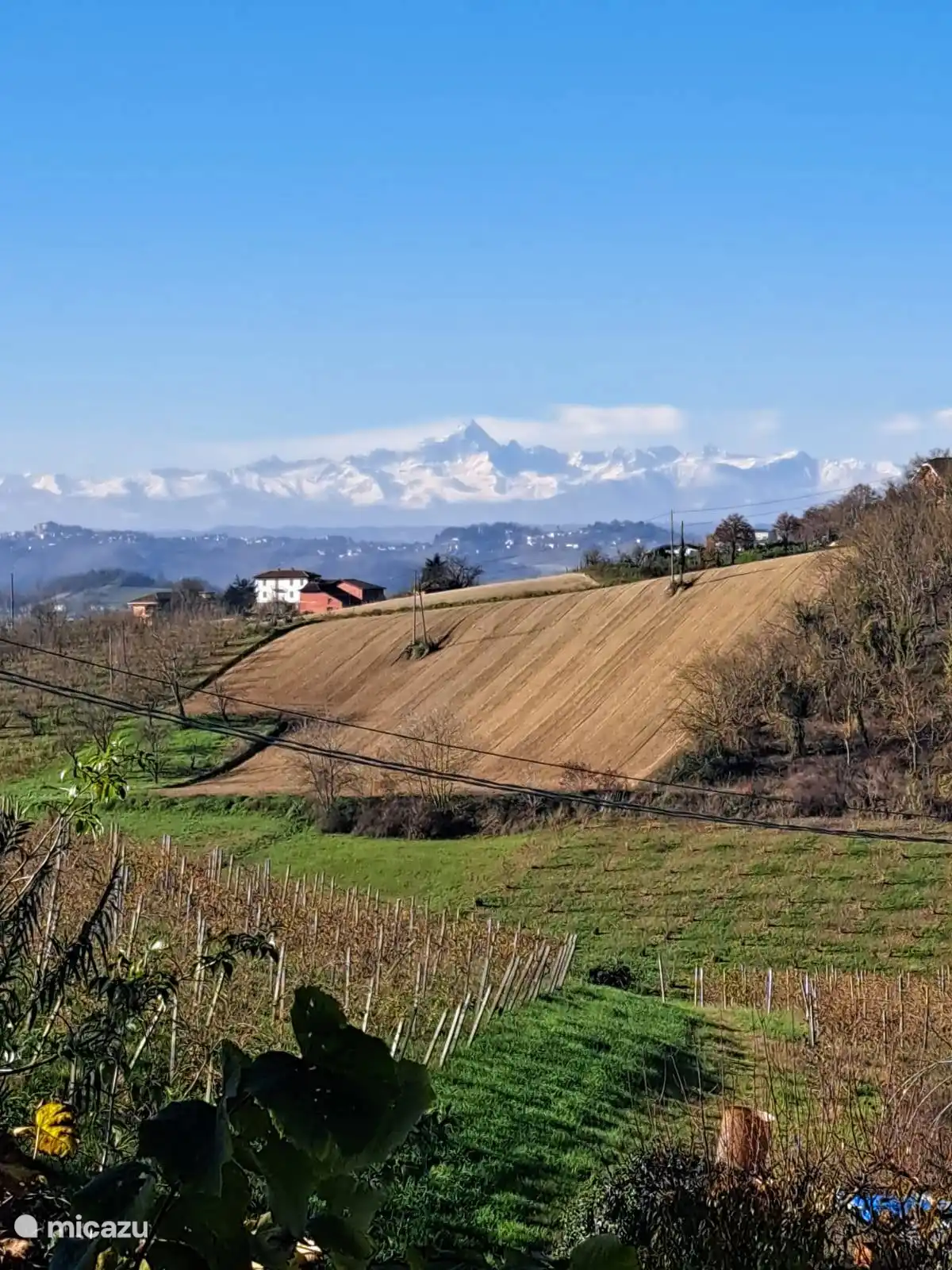 Met helder week zie je aan het eind van het pad de Alpen liggen